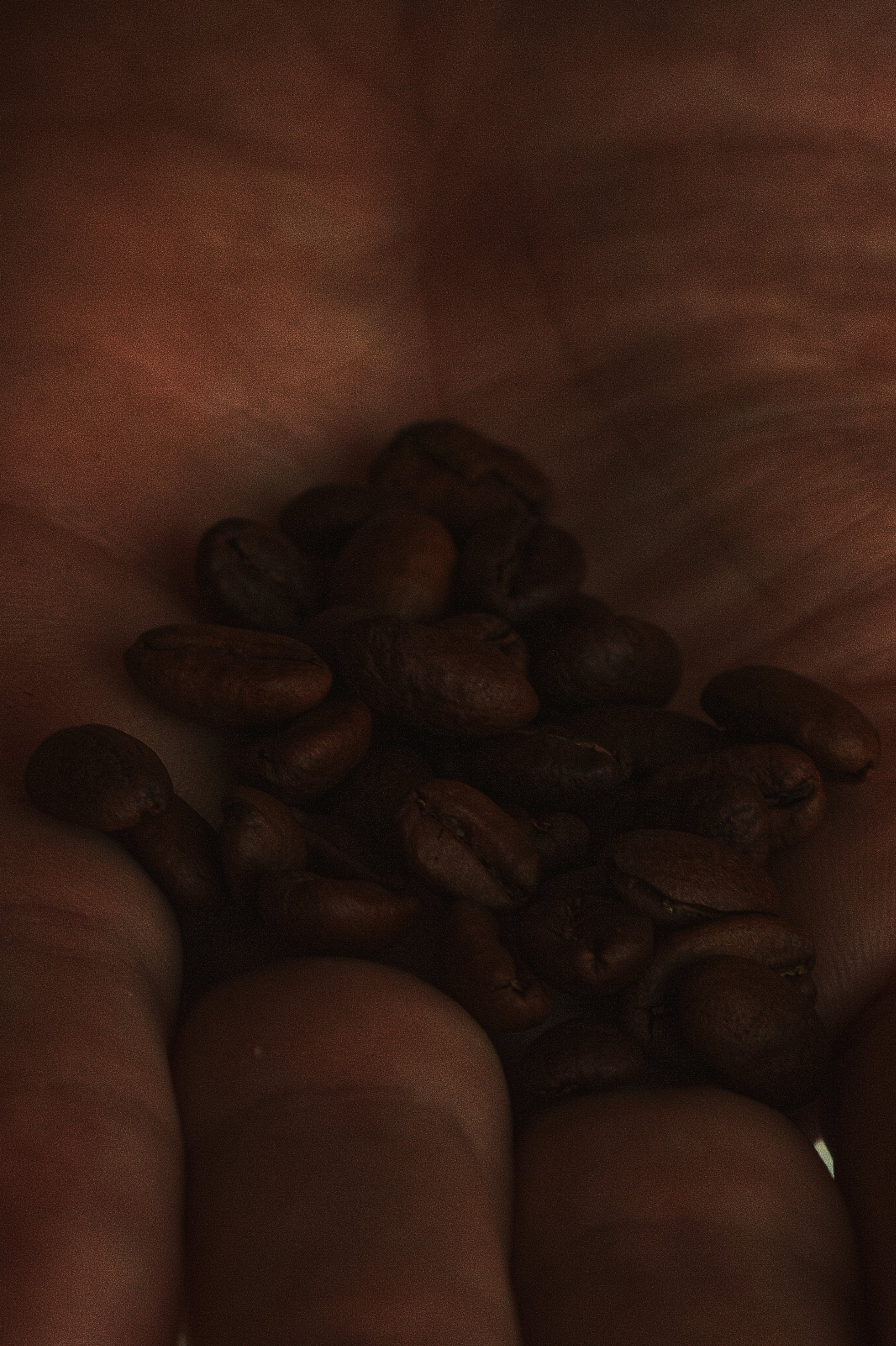 Caffe.jpg