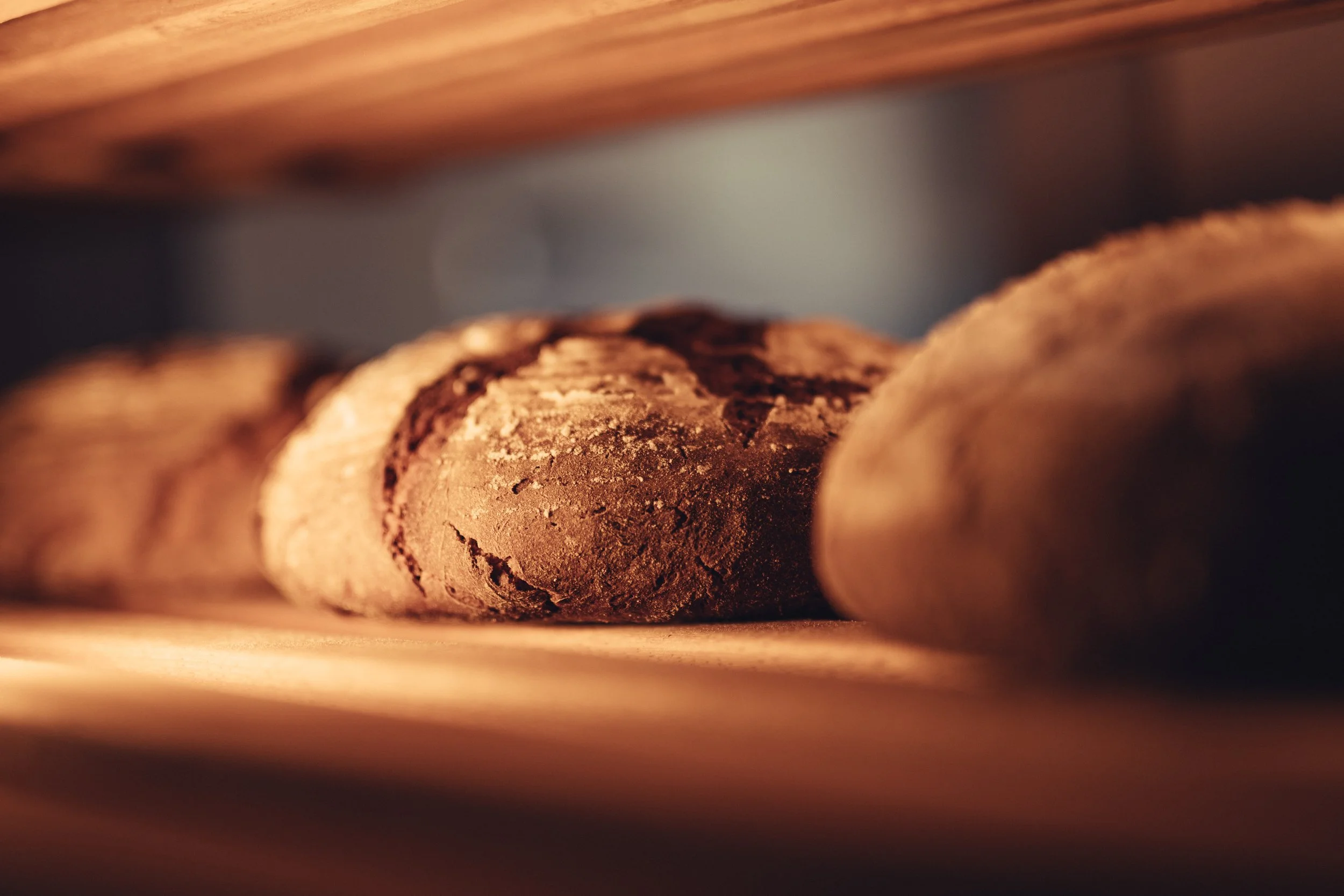 Nahaufnahme von im Ofen gebackenem Brot, mit knuspriger, brauner Kruste.