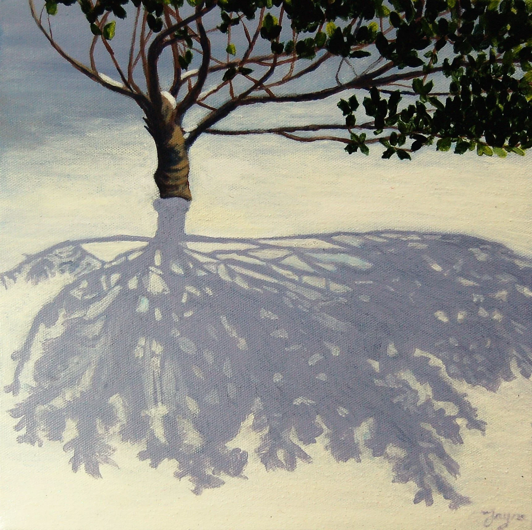 winter - time for reflection