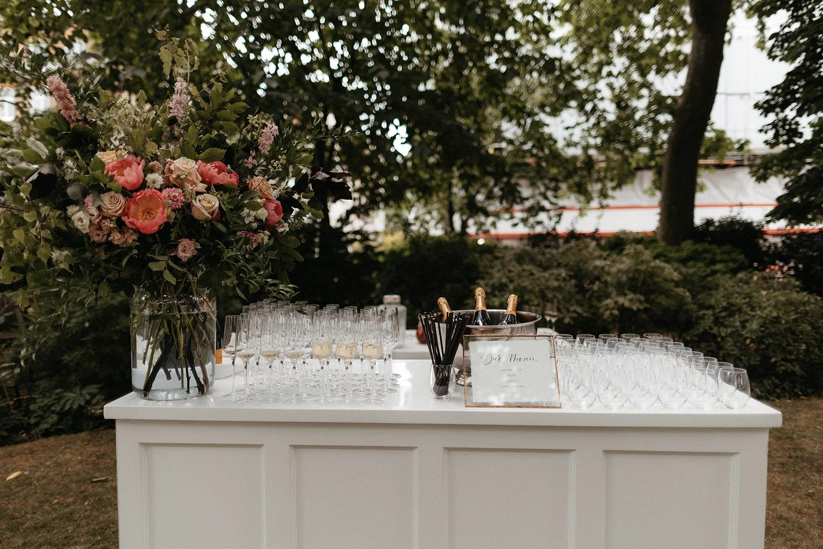 38-SALVIA + TOM 0141.jpg