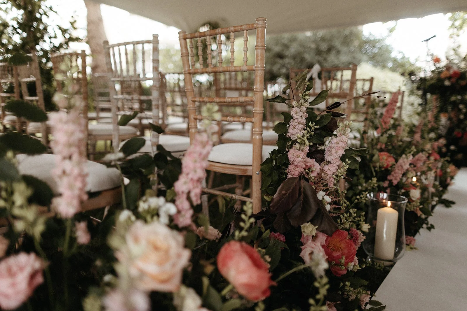 31-SALVIA + TOM 0122.jpg