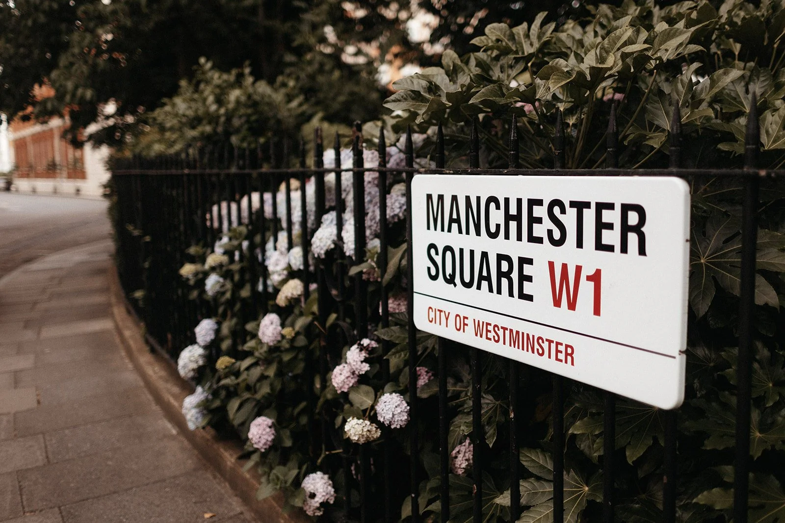 1-SALVIA + TOM 0001.jpg