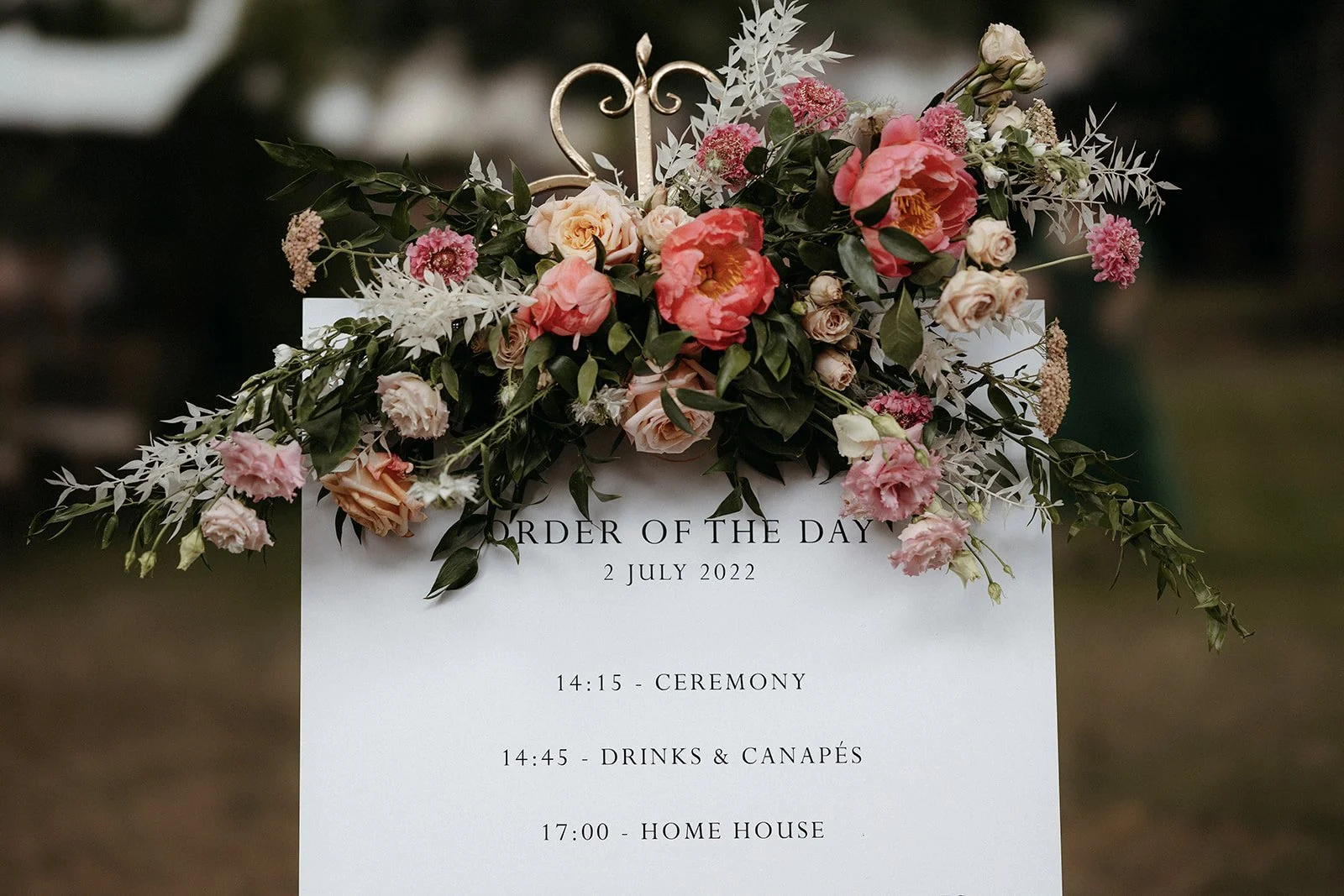 112-SALVIA + TOM 003 0002.jpg