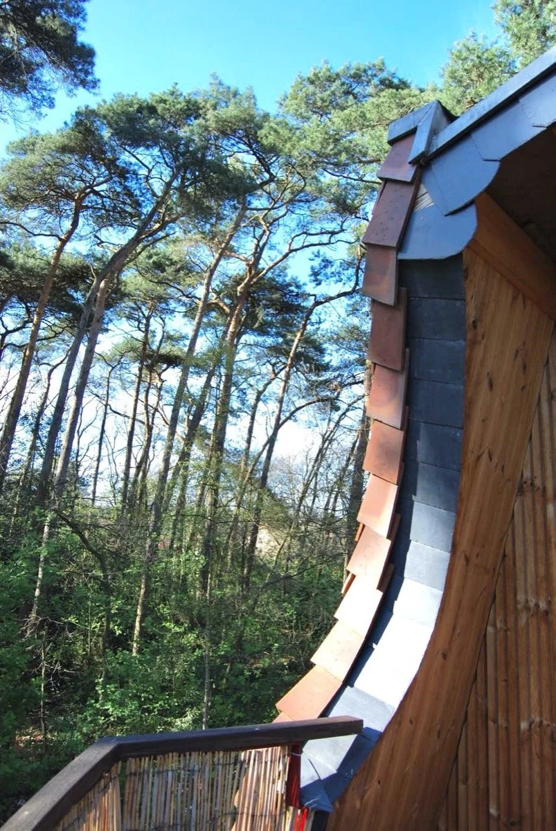 Architect Steven Dalving organisch dakrand detail.jpeg