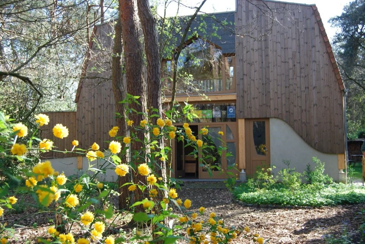 Architect Steven Dalving ecologisch Pad naar de voordeur.jpg