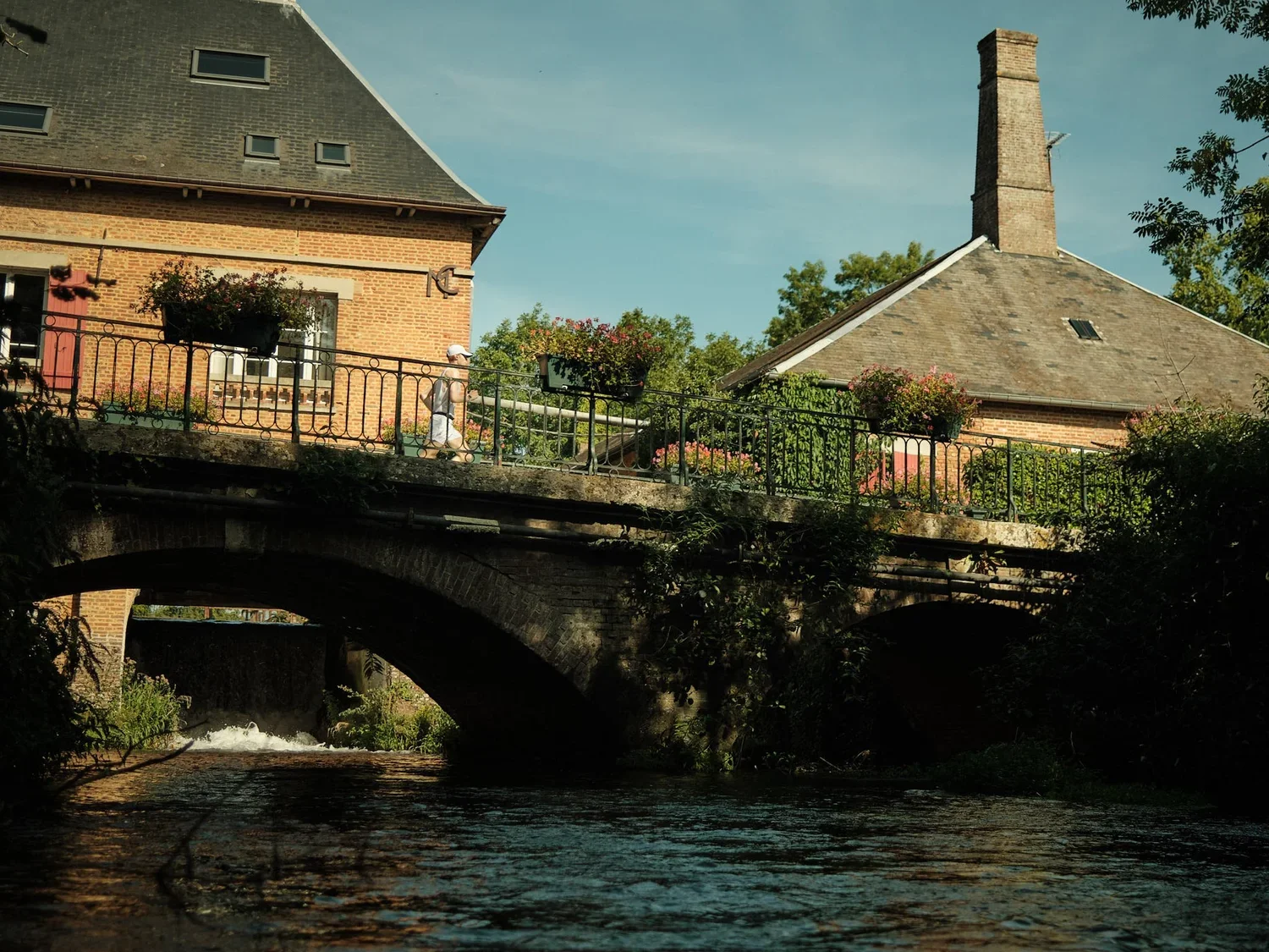 DSCF5599.webp