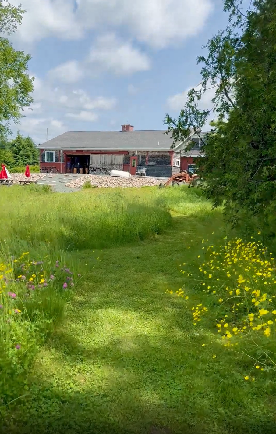 lunch takeout schoodic maine.png