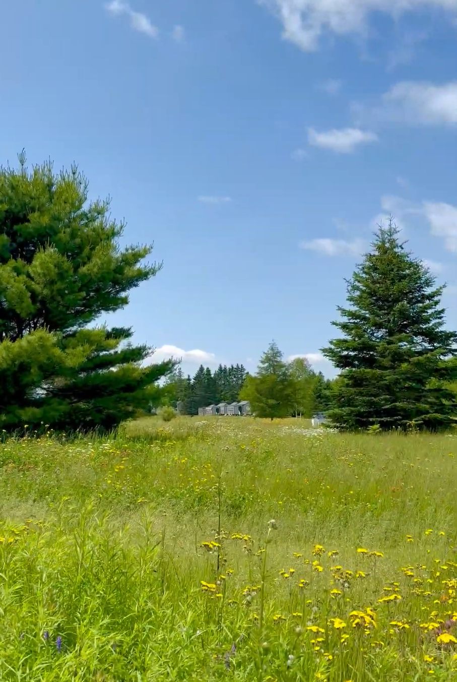 outdoor wedding venue acadia maine.png
