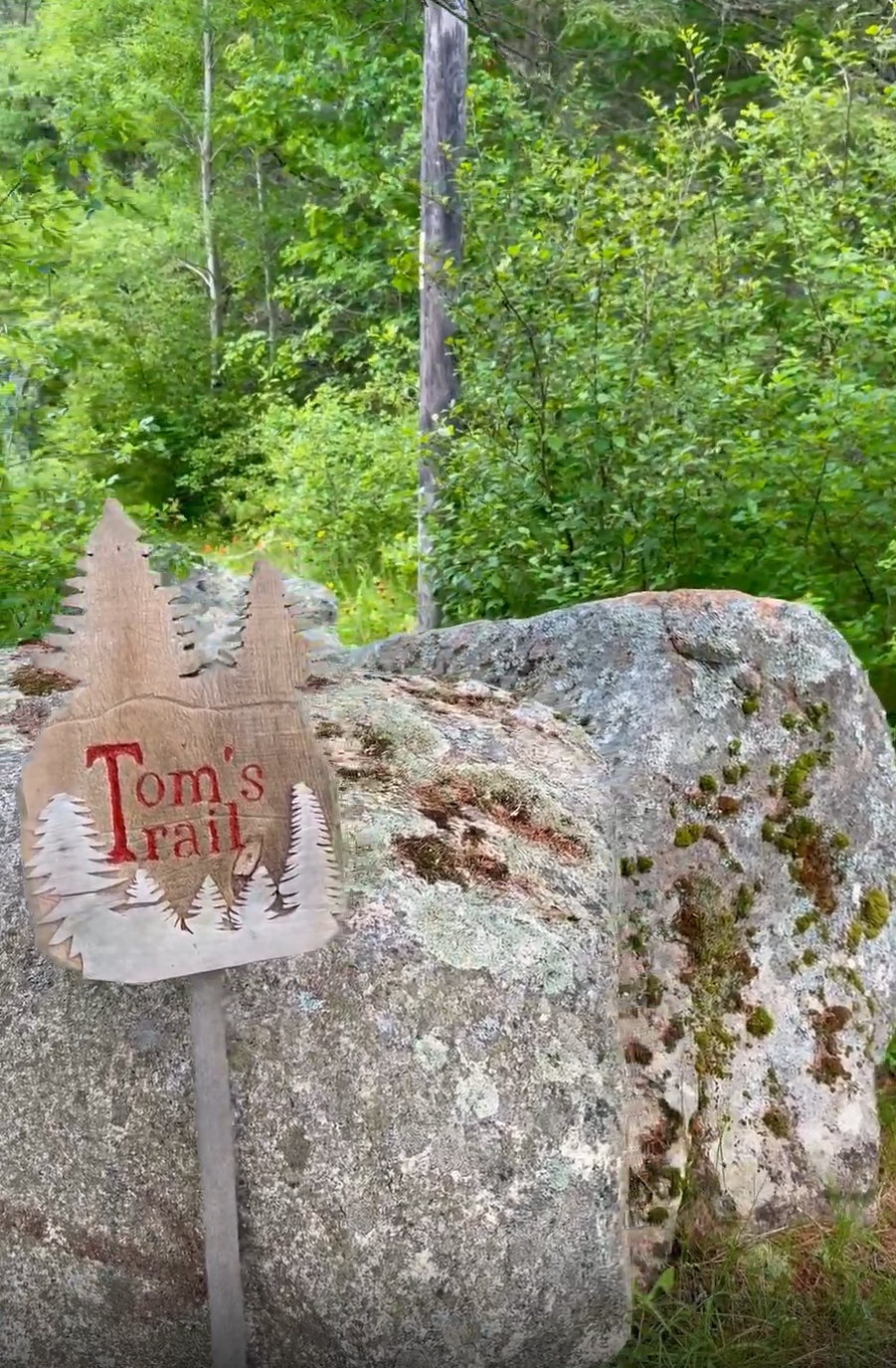 pet friendly cabins acadia maine.png