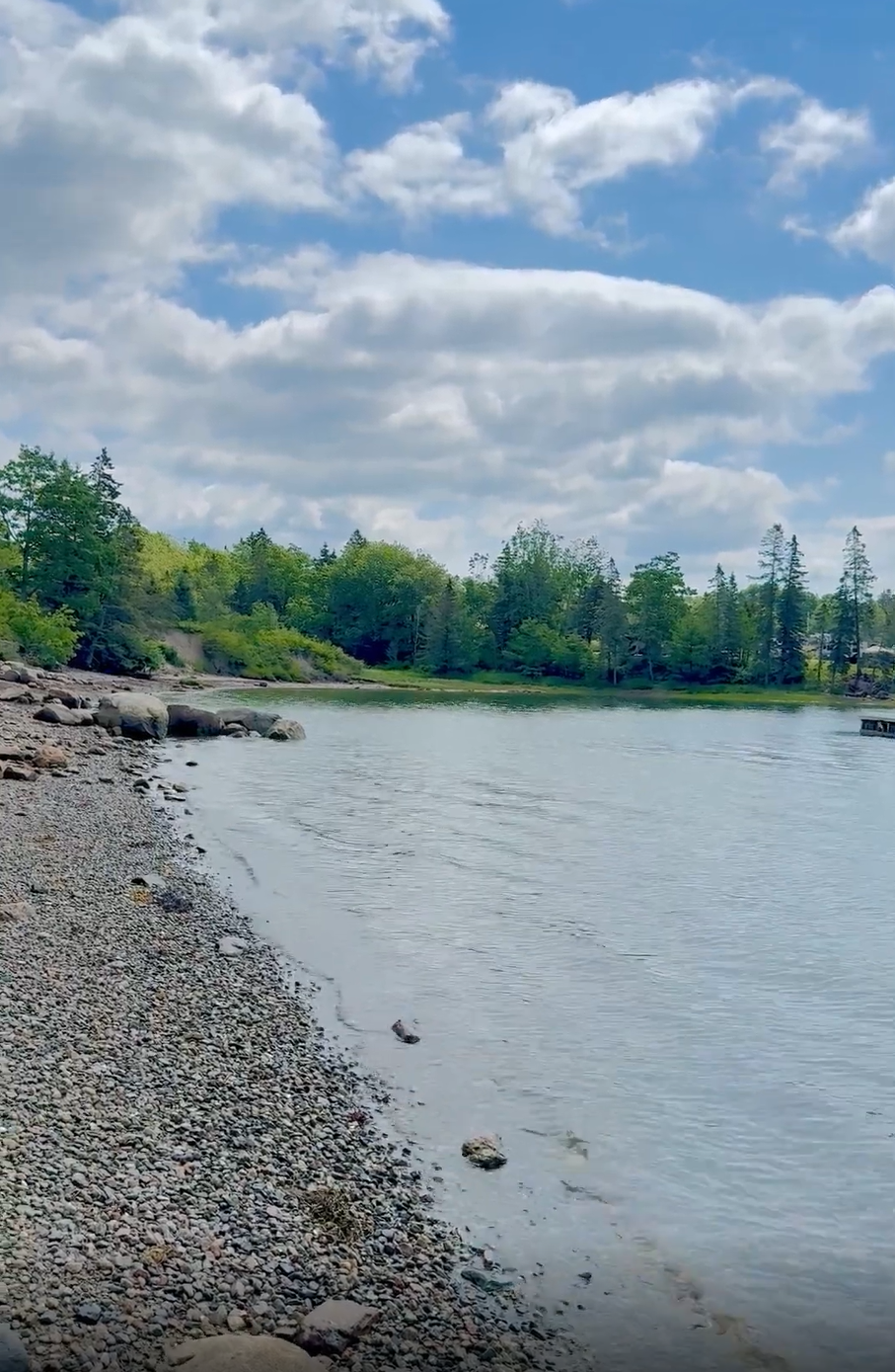 pet friendly vacation sullivan maine.png