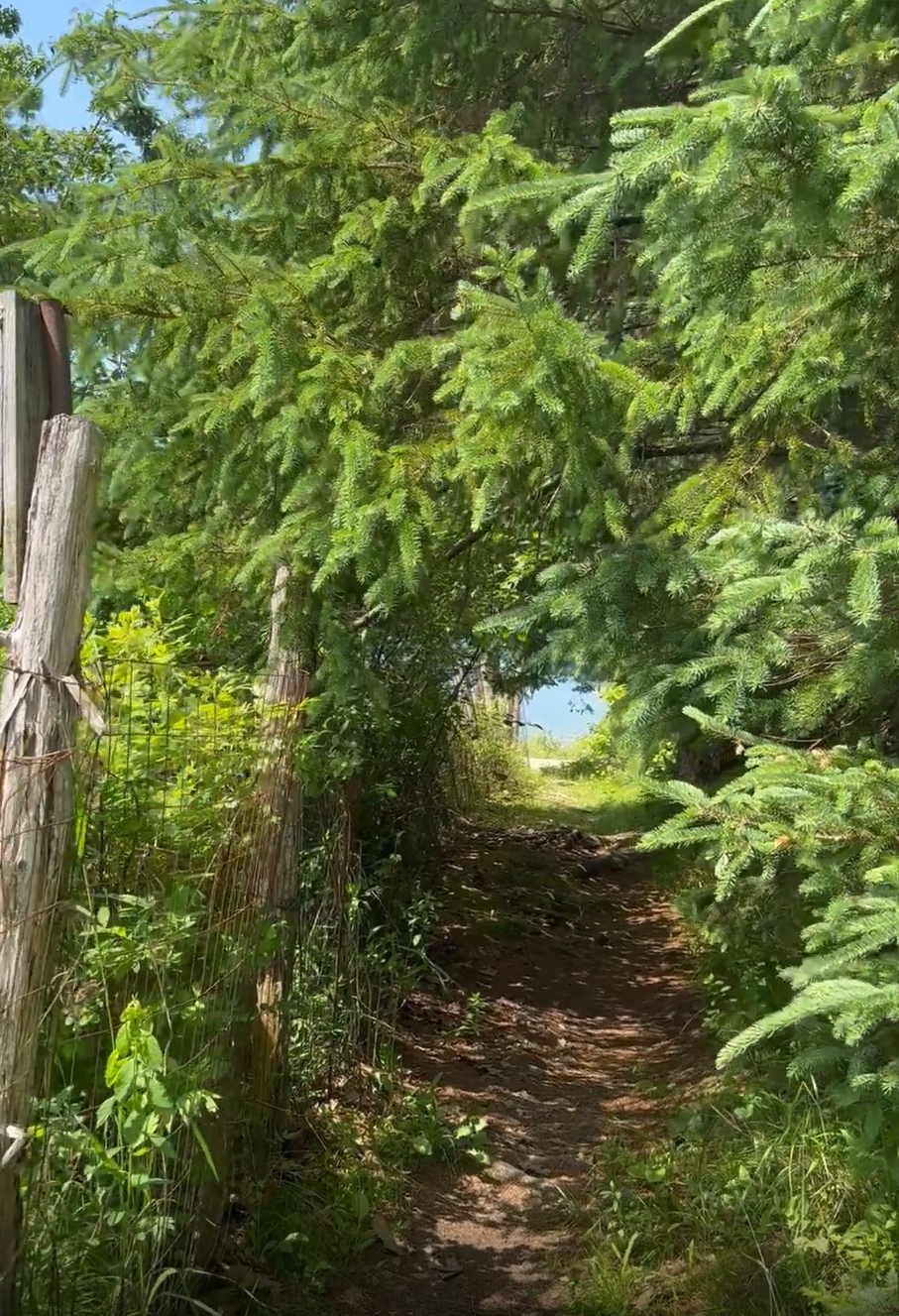 Sullivan maine things places.png