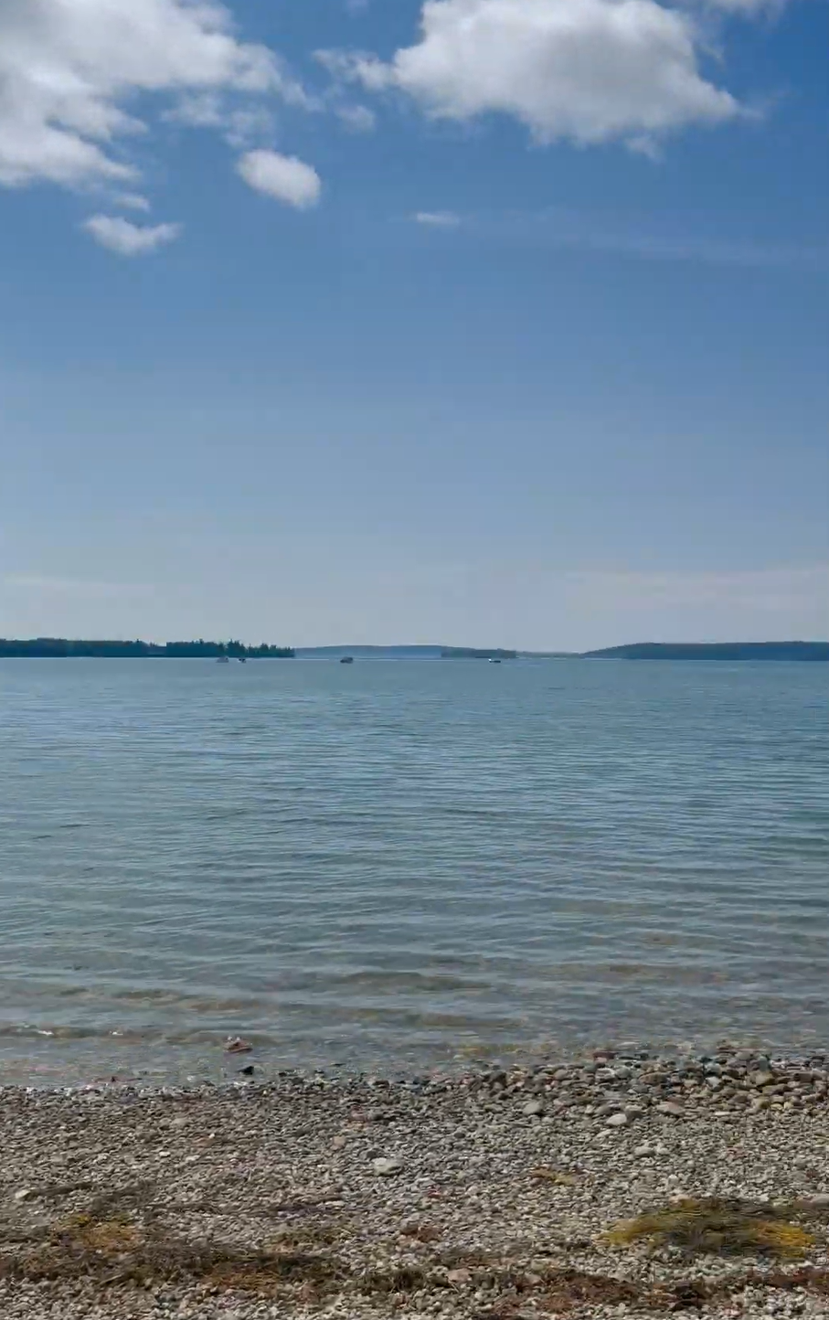 waterfront rental airbnb pet friendly acadia.png