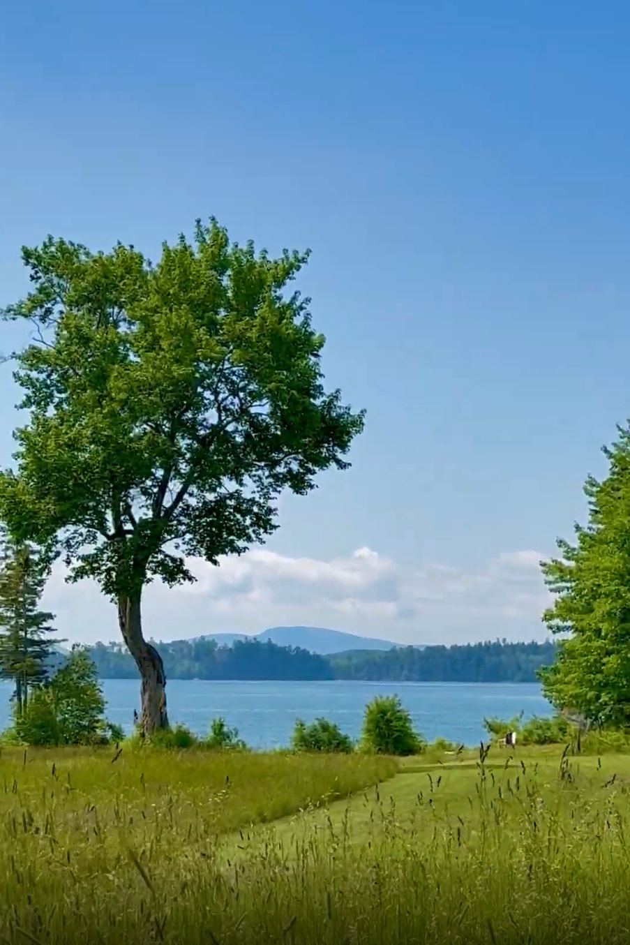 wedding venues acadia maine.png