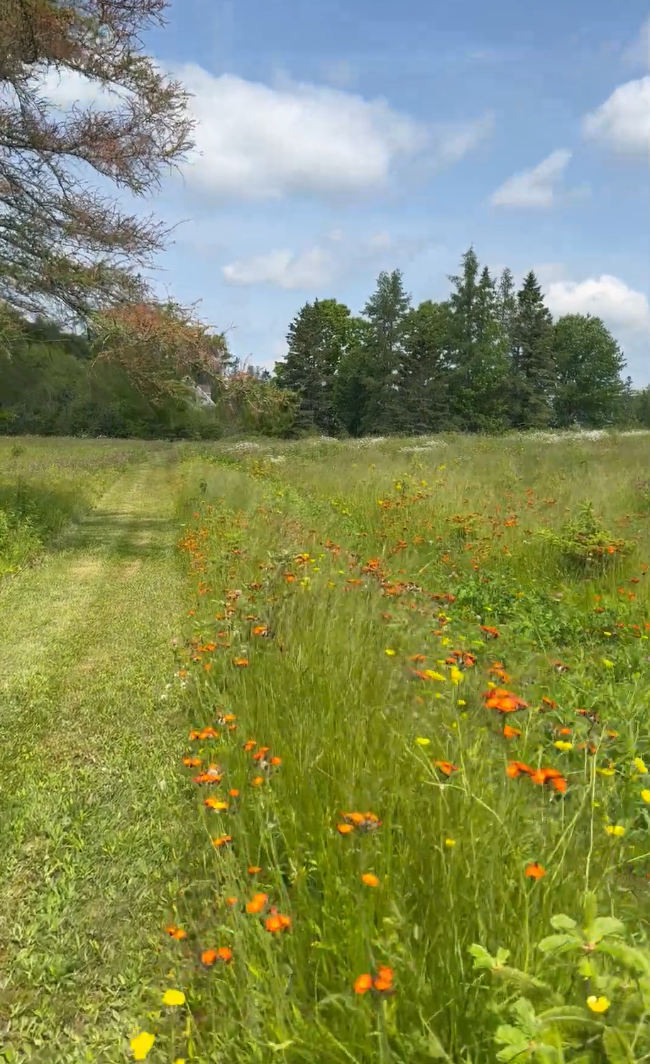 wedding venues near acadia maine.png