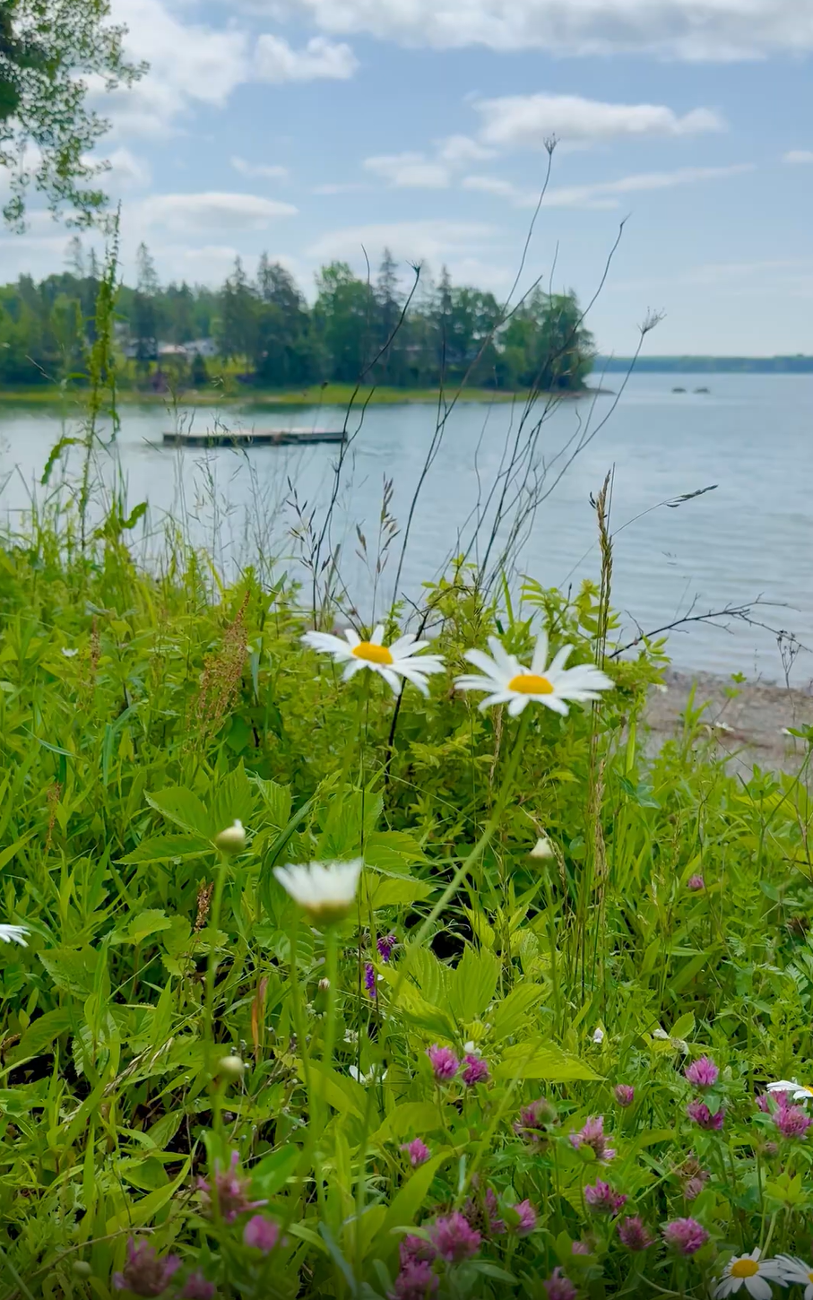 where to swim near sullivan maine.png