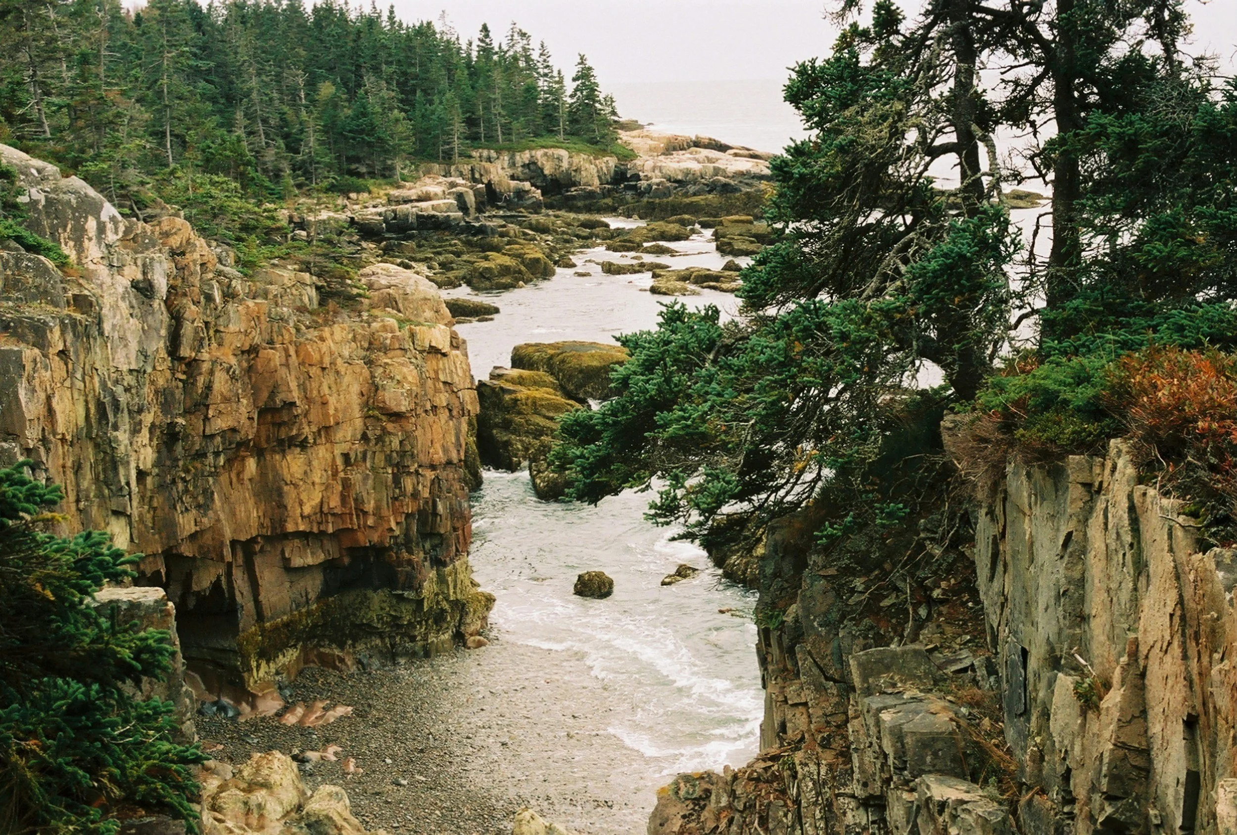 Serene Schoodic Point Sunset Over Rugged Coast