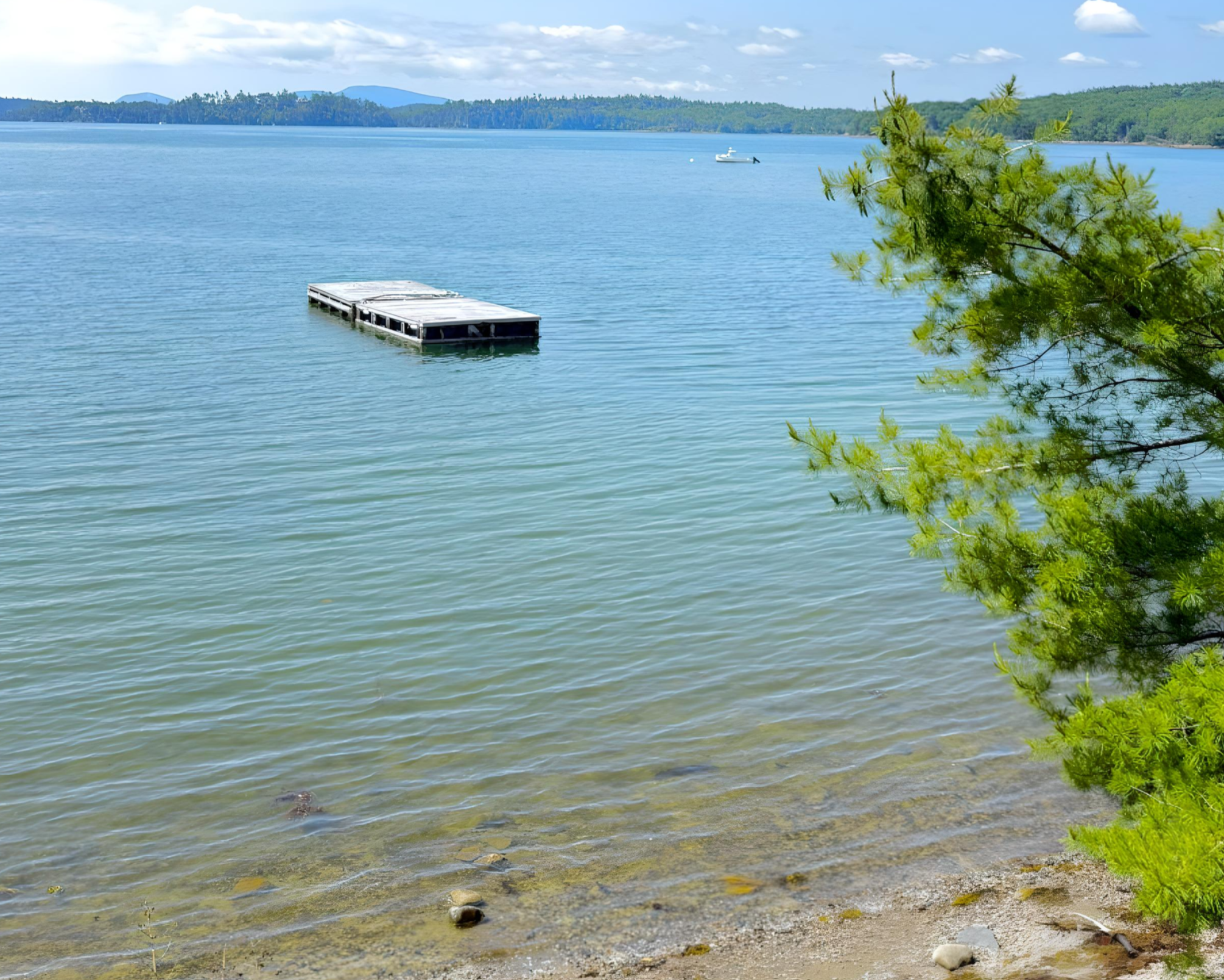 Pet friendly waterfront cabins near Acadia National Park in Sullivan Maine