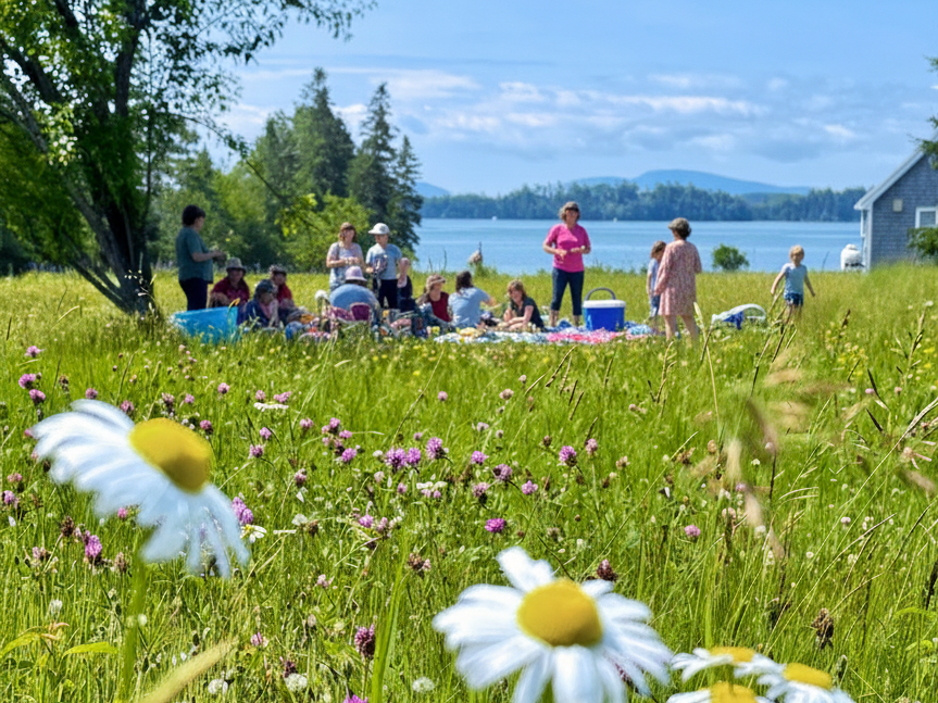 Outdoor party and reunion venue in Downeast Maine with lawn seating and bay views