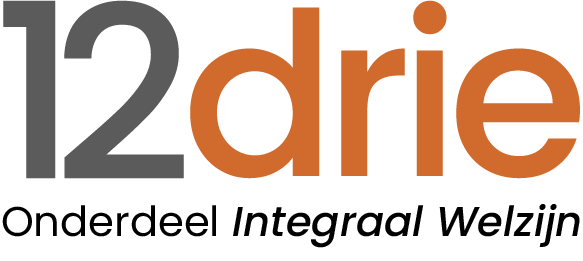 12Drie - RI&amp;E in 3 stappen