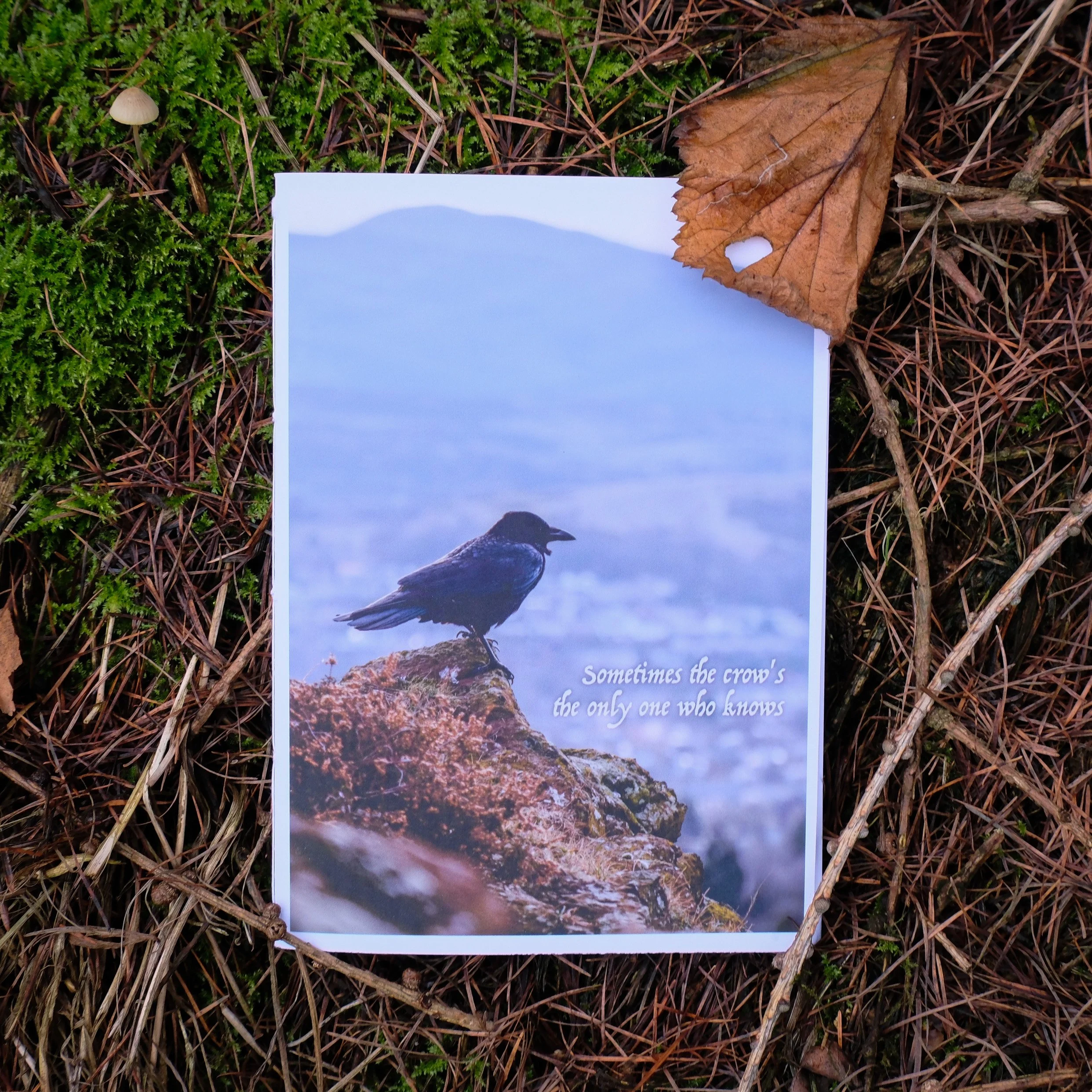 Sometimes the Crow's the Only One Who Knows