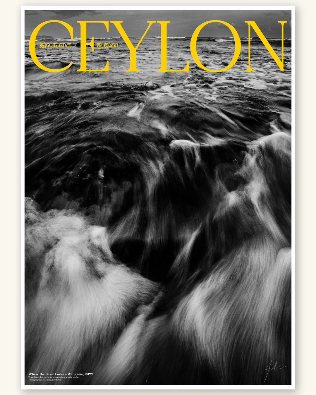 Where the Beast Lurks &mdash; Weligama, 2022.

There&rsquo;s a beast in all of us, lurking somewhere beneath the surface. His just happens to wear a very good suit.

Shop link in bio.

#ceylonposter #srilankawallart #ceylonarchive #weligama #sandunde