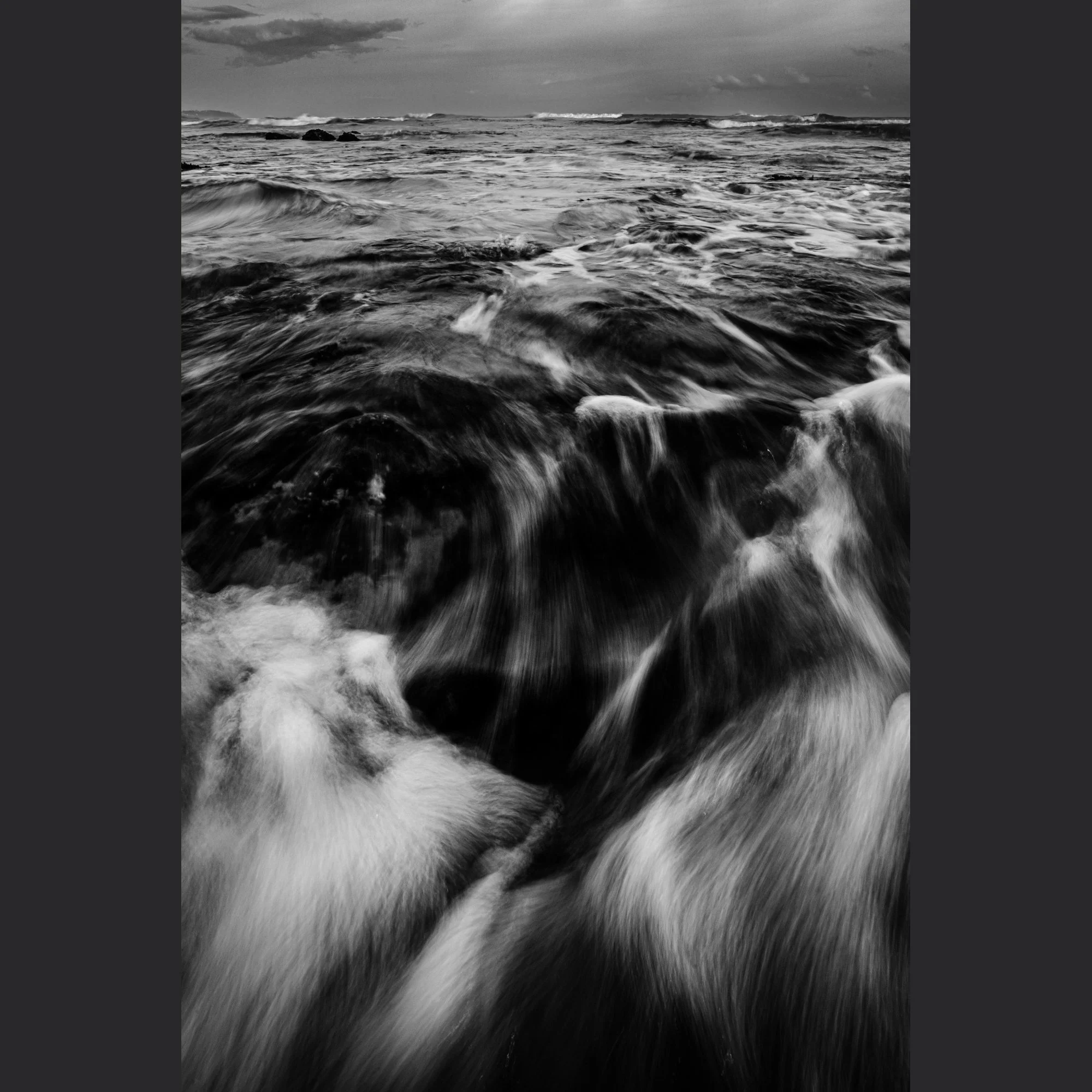 The Beast  — Weligama, 2013
