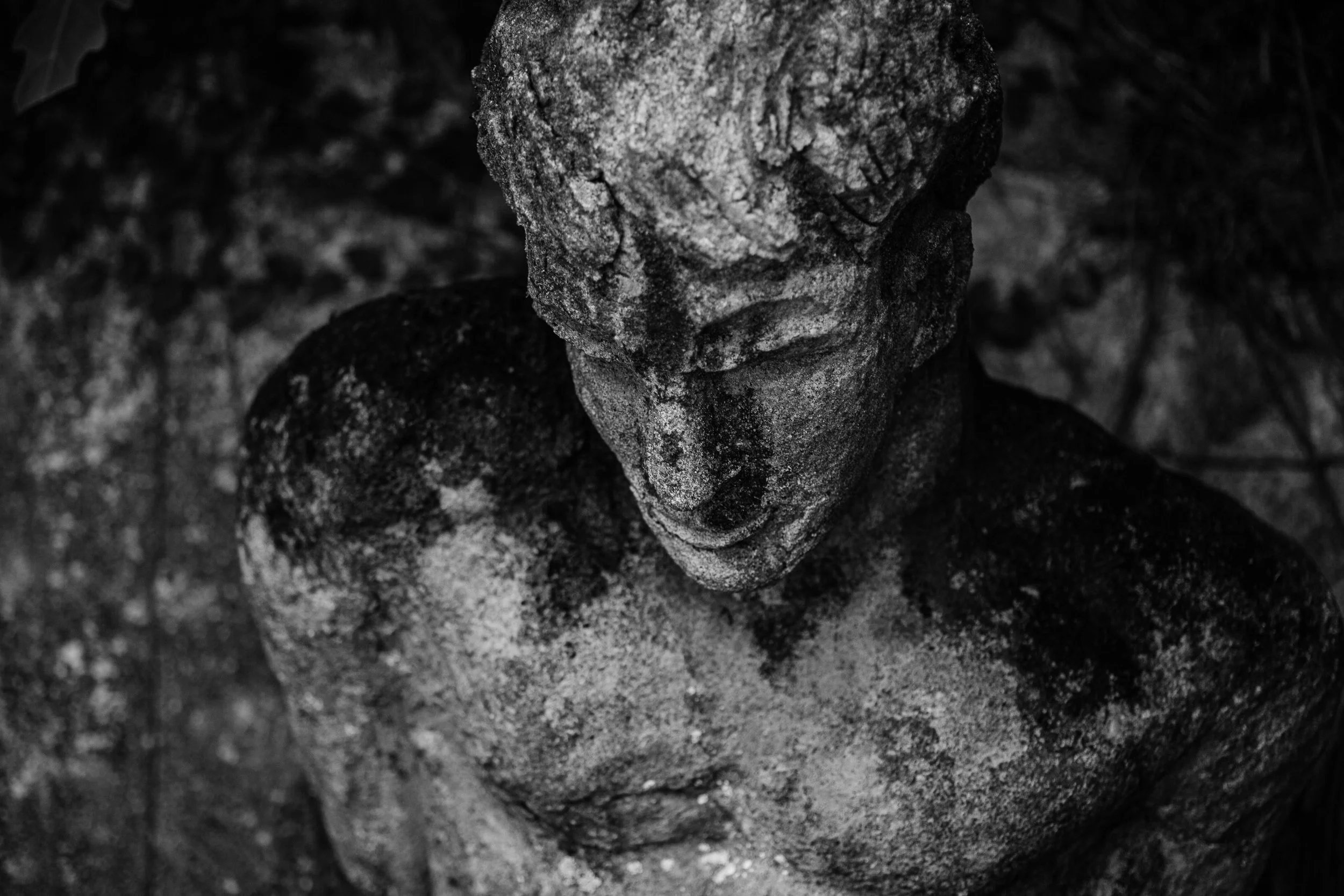 Brief Garden by Bevis Bawa