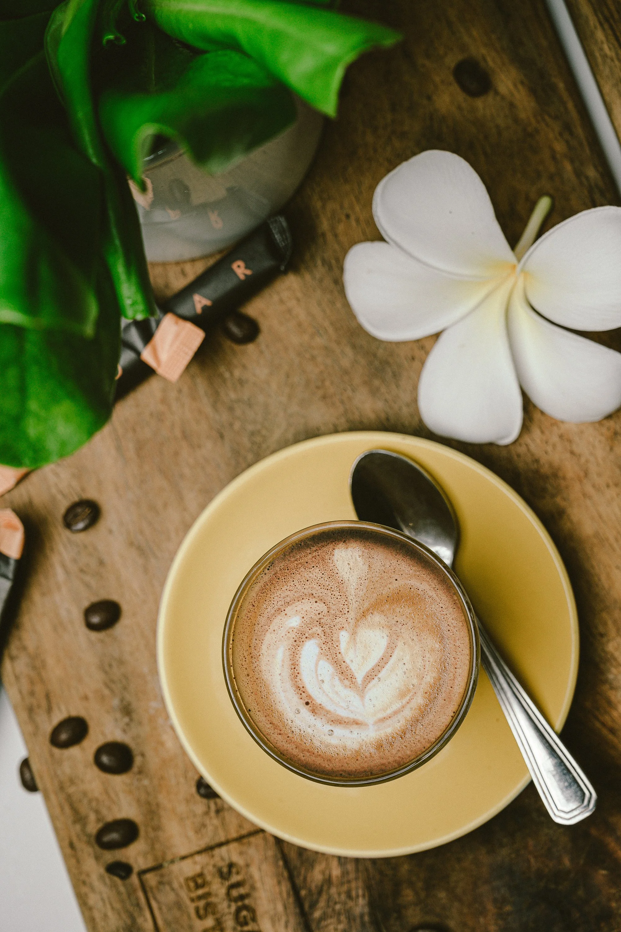 SugarBakery_Sri Lanka_MochaBloom_01.jpg