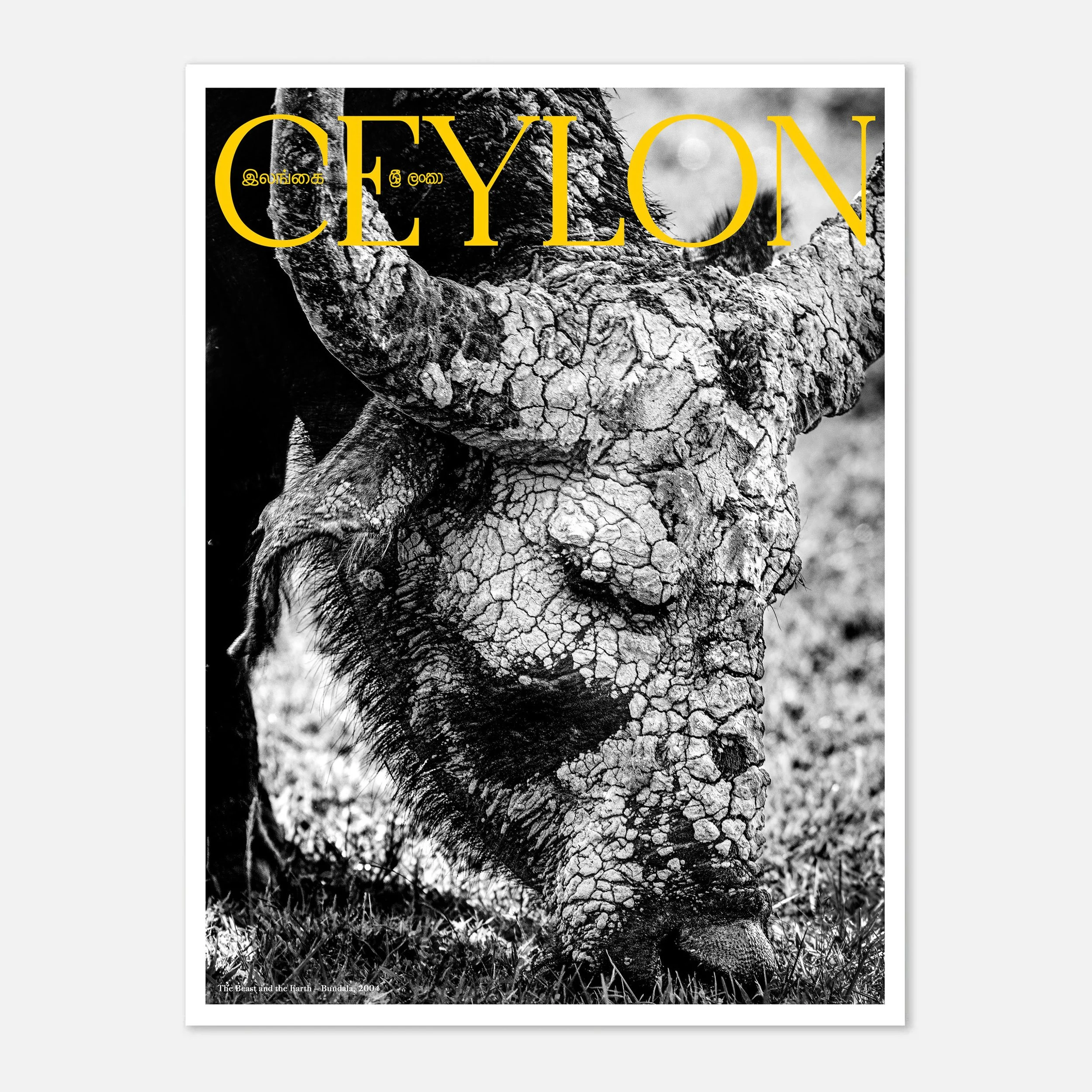 The Beast and the Earth – Bundala, 2008