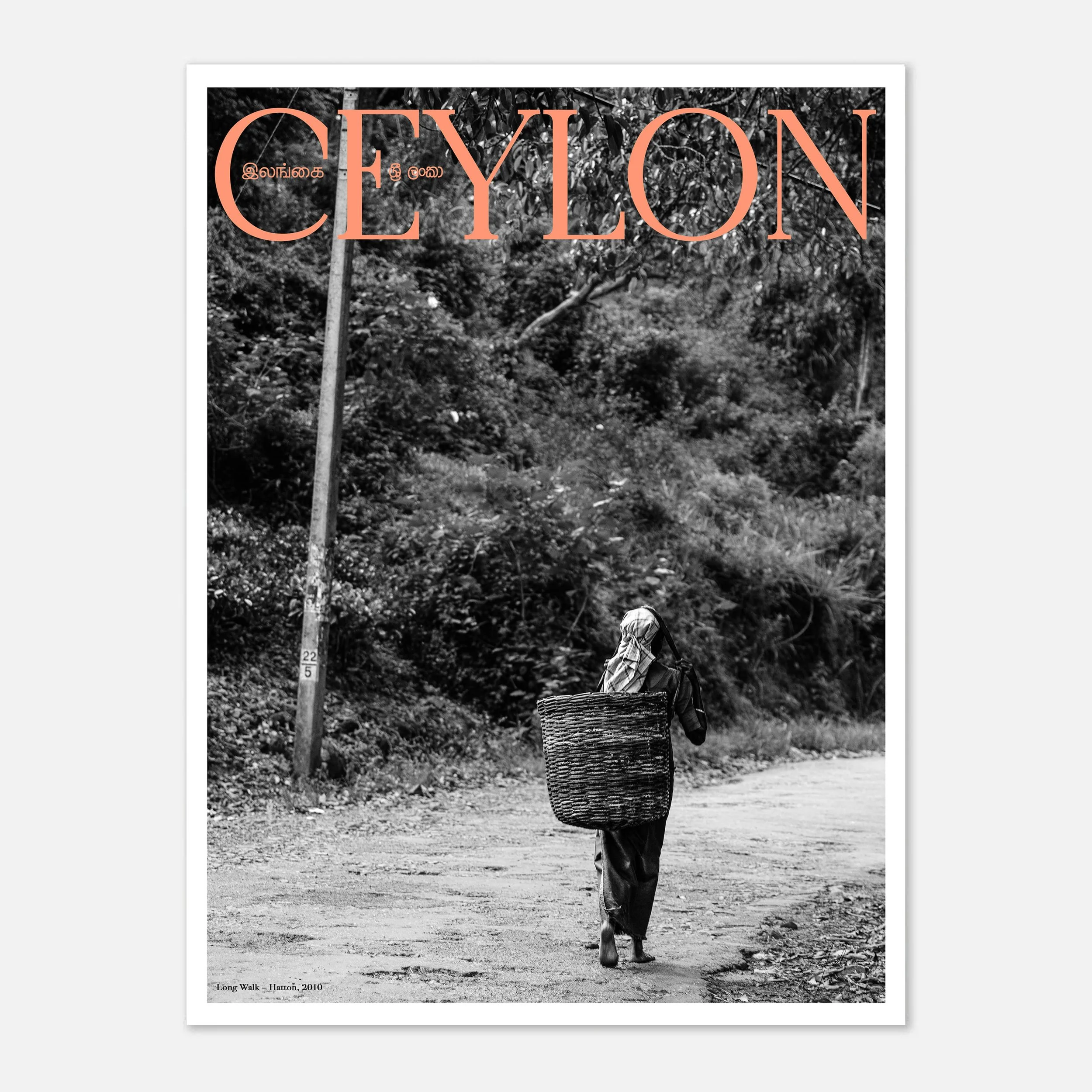 Long Walk – Hatton, 2010