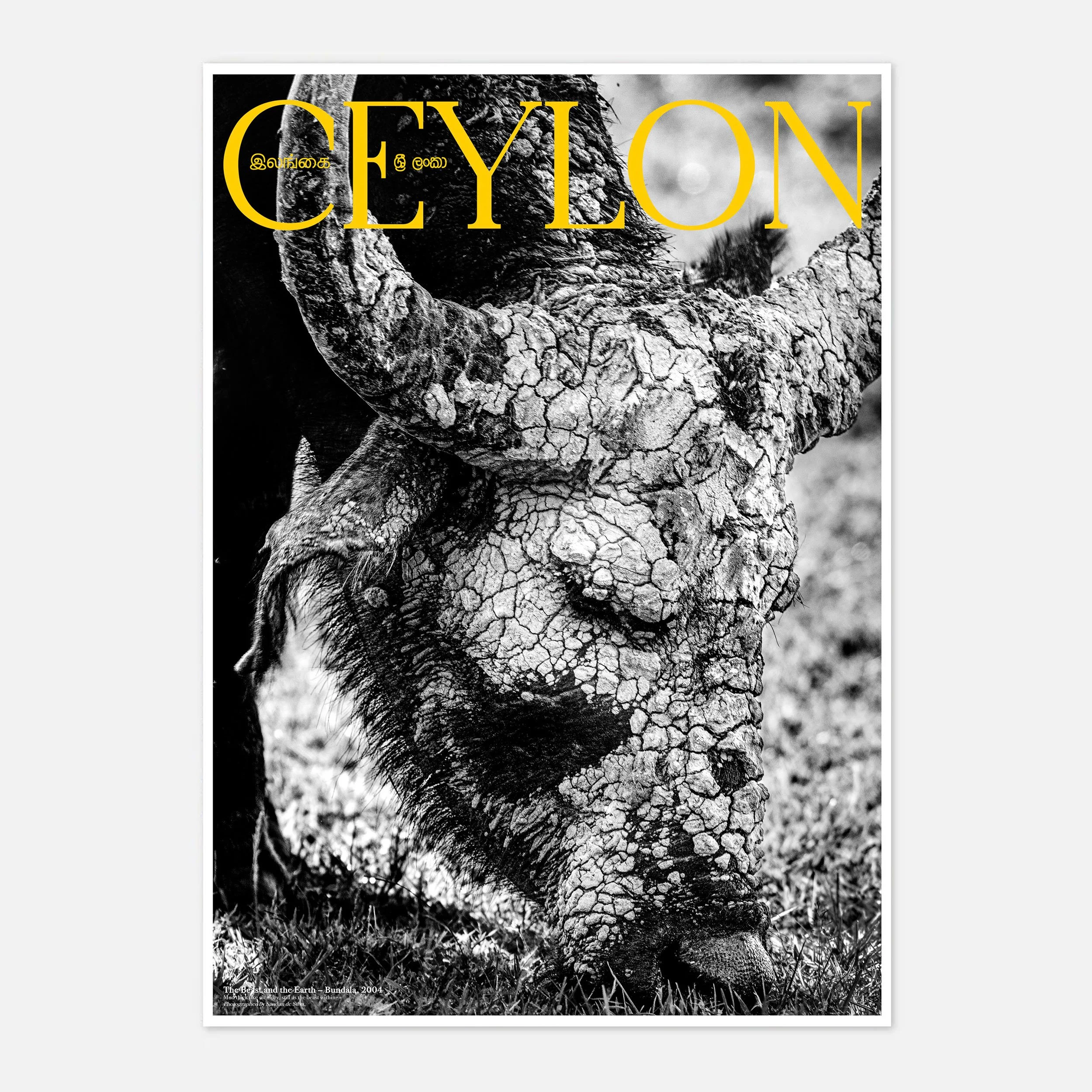 The Beast and the Earth – Bundala, 2004_CEYLON series by Sandun de Silva_50x70cm_key.jpg