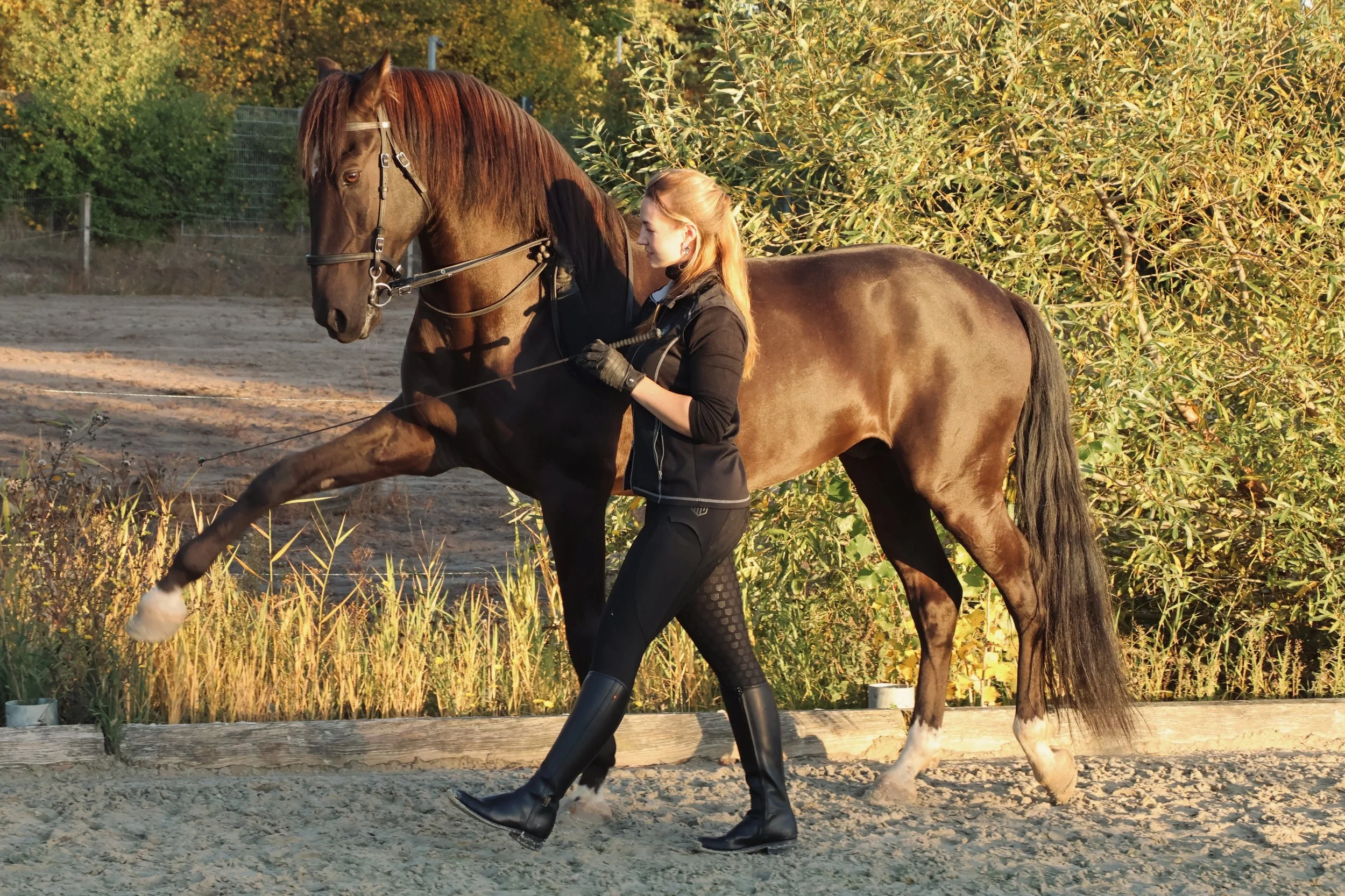 Facetune_14-01-2026-14-07-00 (1).jpg