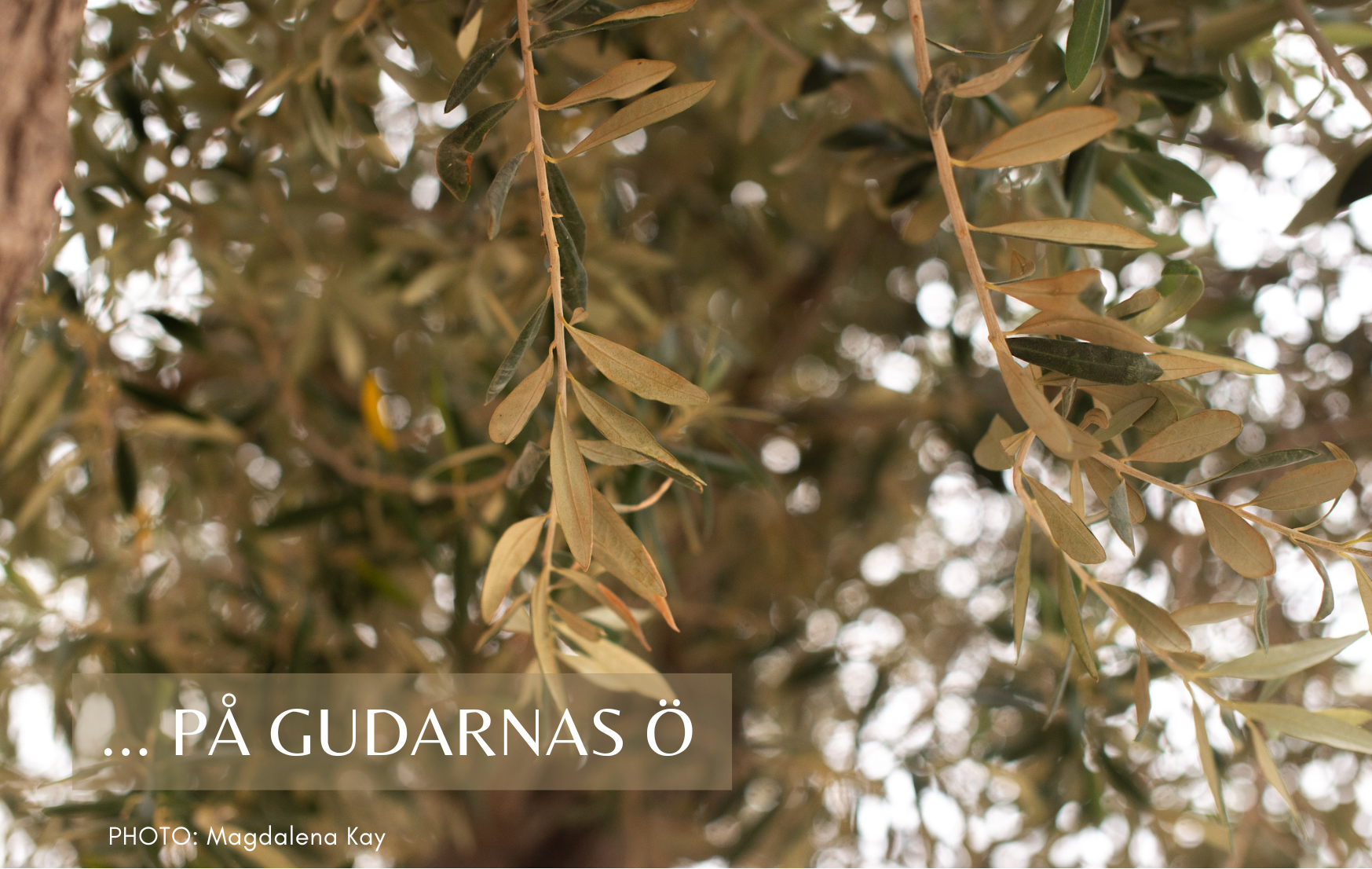 Namnlös (169 x 107 mm) (1).png