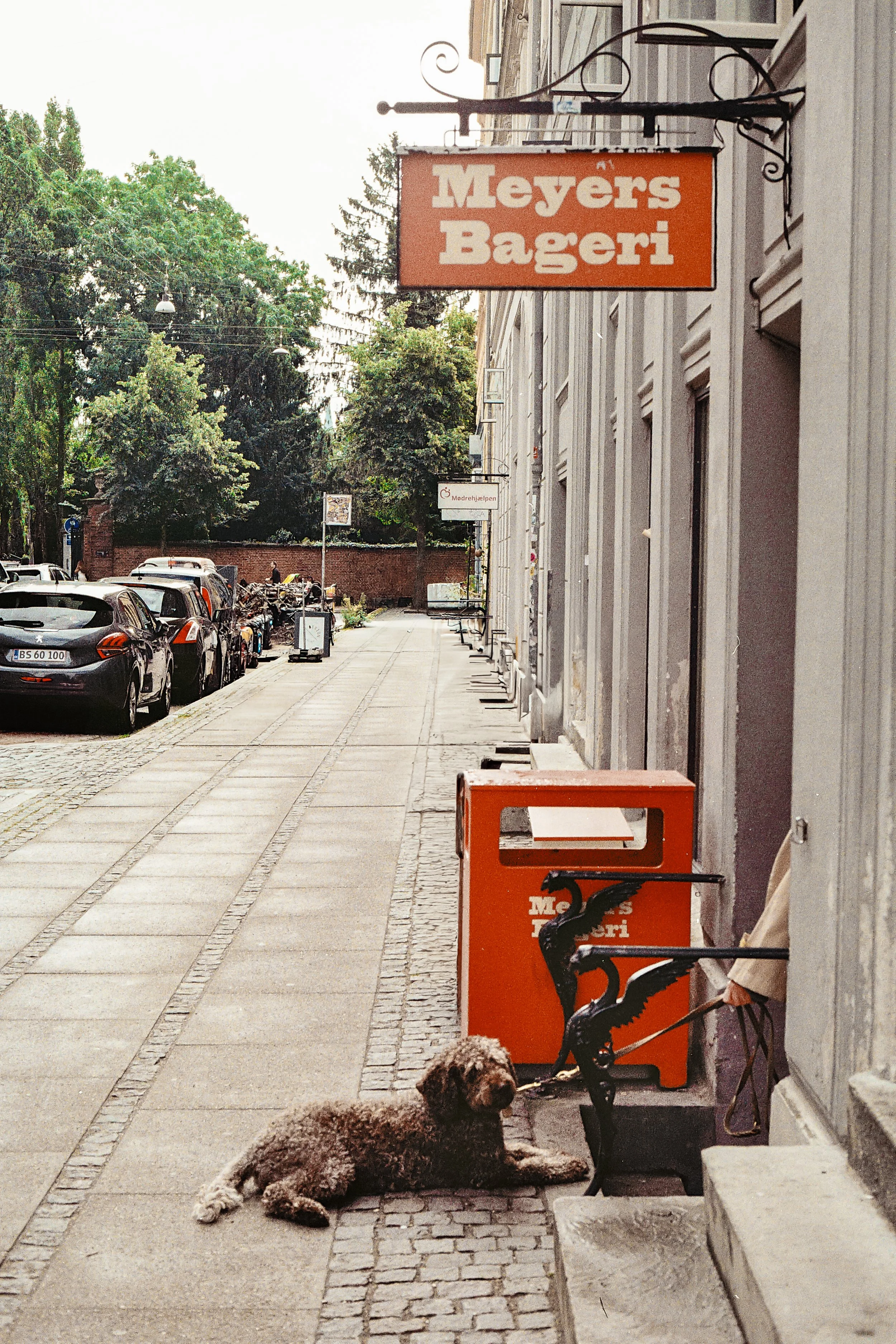 The sidewalk outside Meyers Bageri with parked cars, trees, and a building. A dog is lying on the sidewalk next to a decorative black metal sculpture of a heron. Hanging from the building is an orange sign with white text that reads 'Meyers Bageri.'
