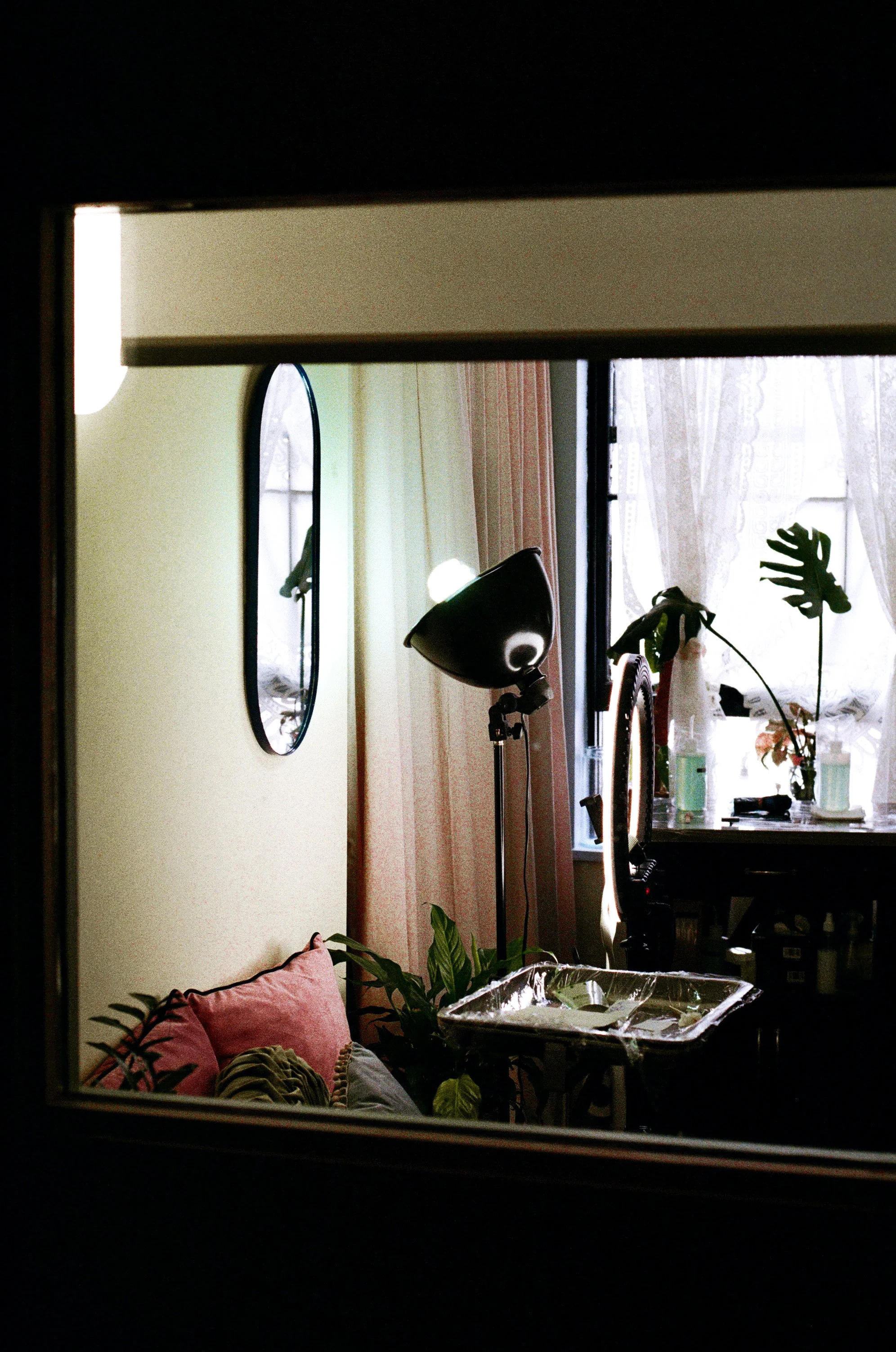 View of a cozy room through a window, with a pink sofa, green plants, a standing lamp, flowers on a table, and a mirror reflected on a wall.