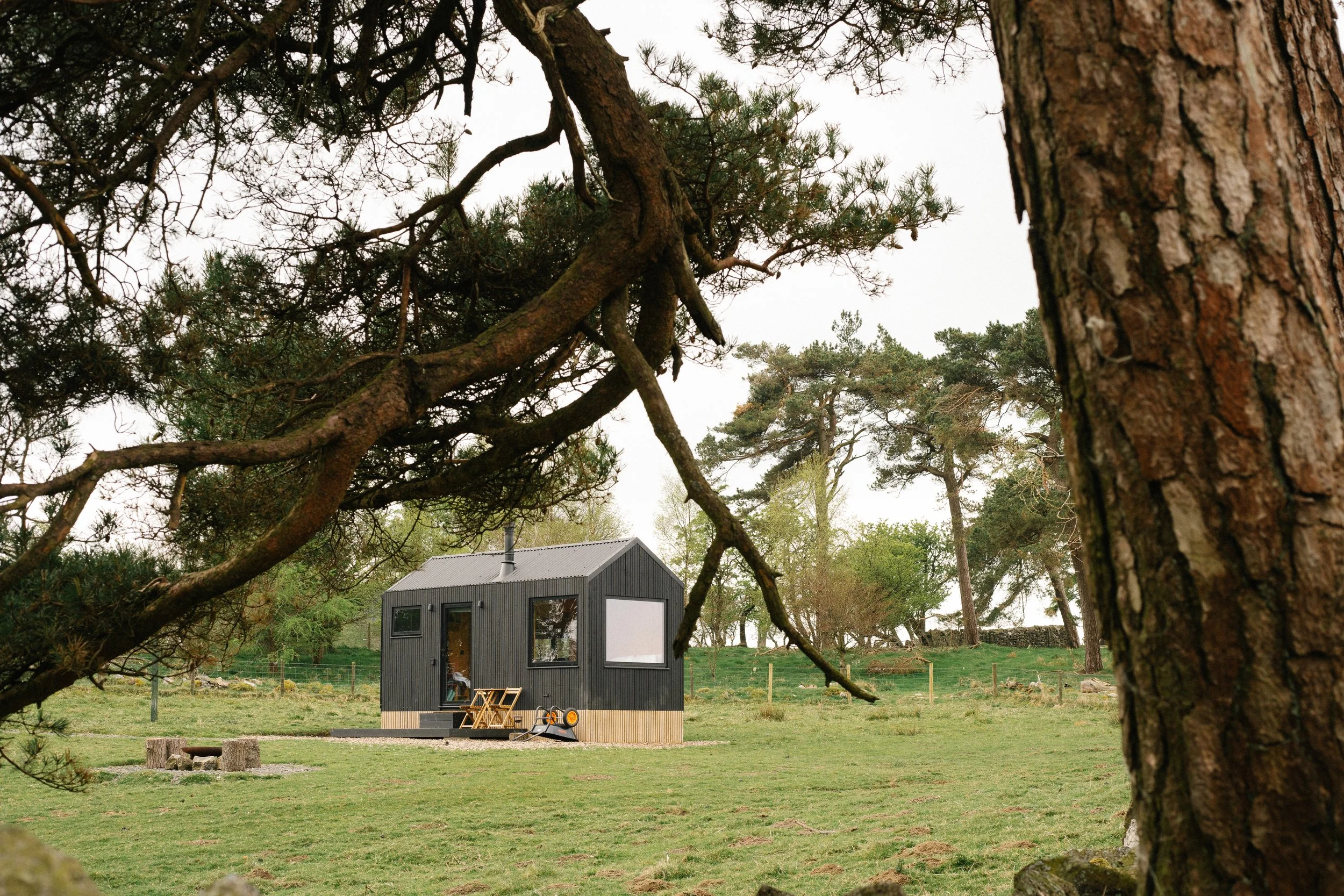 A small black modern cabin with large windows is situated in a grassy area surrounded by trees. A wooden bench and outdoor equipment are outside the cabin.