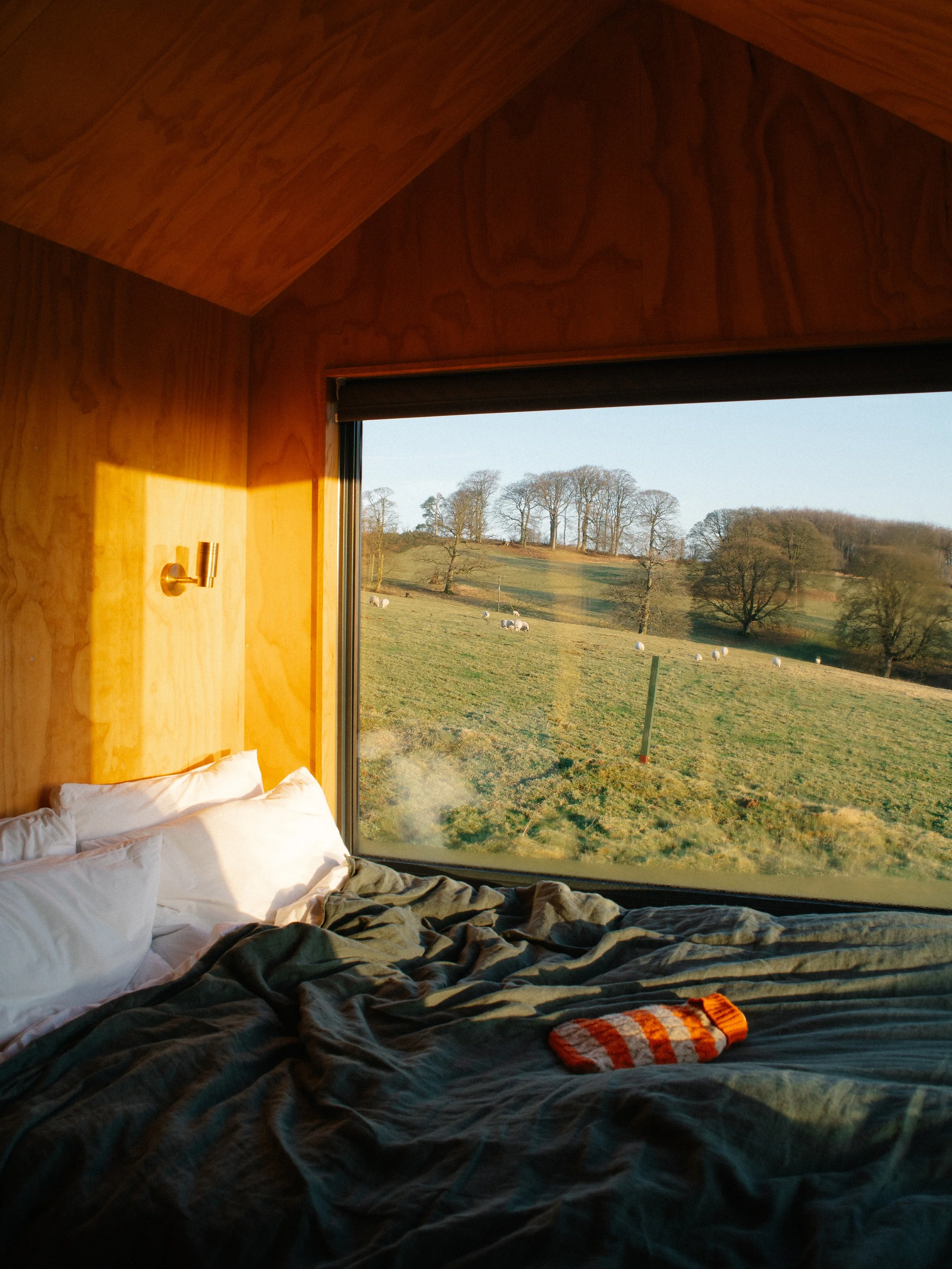 A cozy bedroom with a large window showing a scenic view of rolling green hills and trees, sunlight casting warm glow on the wooden inner wall, with a bed and striped sock on the bedding.