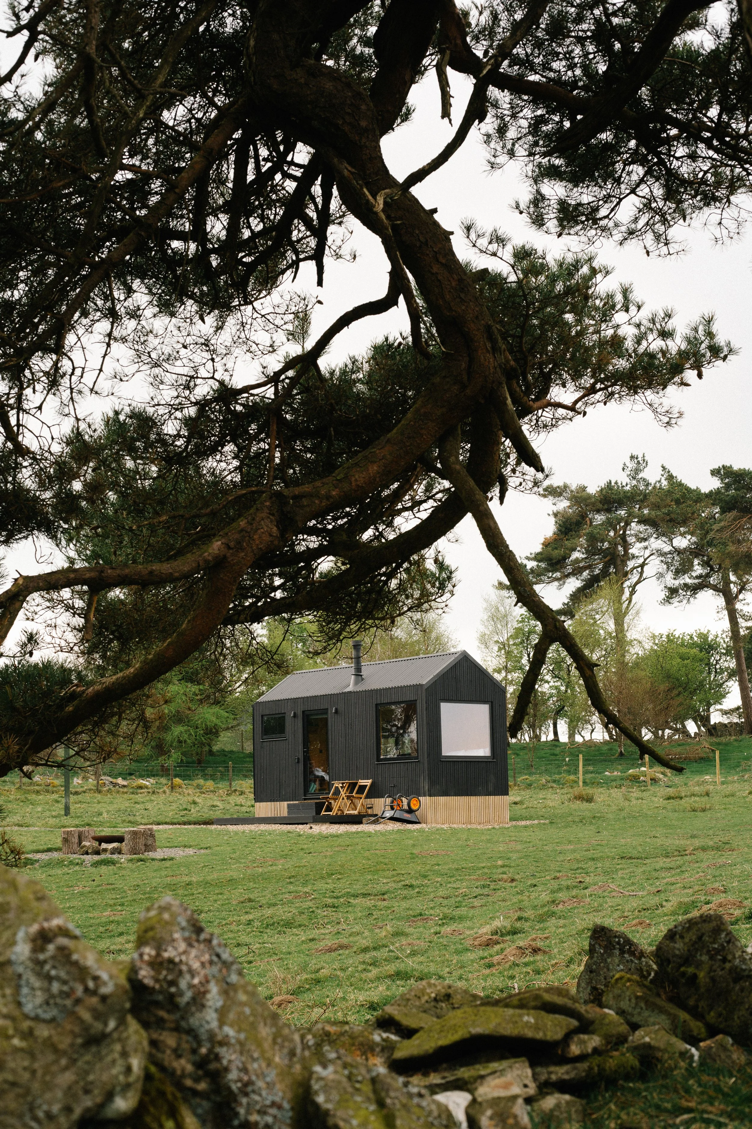 A small black cabin in a grassy field, surrounded by trees, with a large tree branch extending across the top of the image.