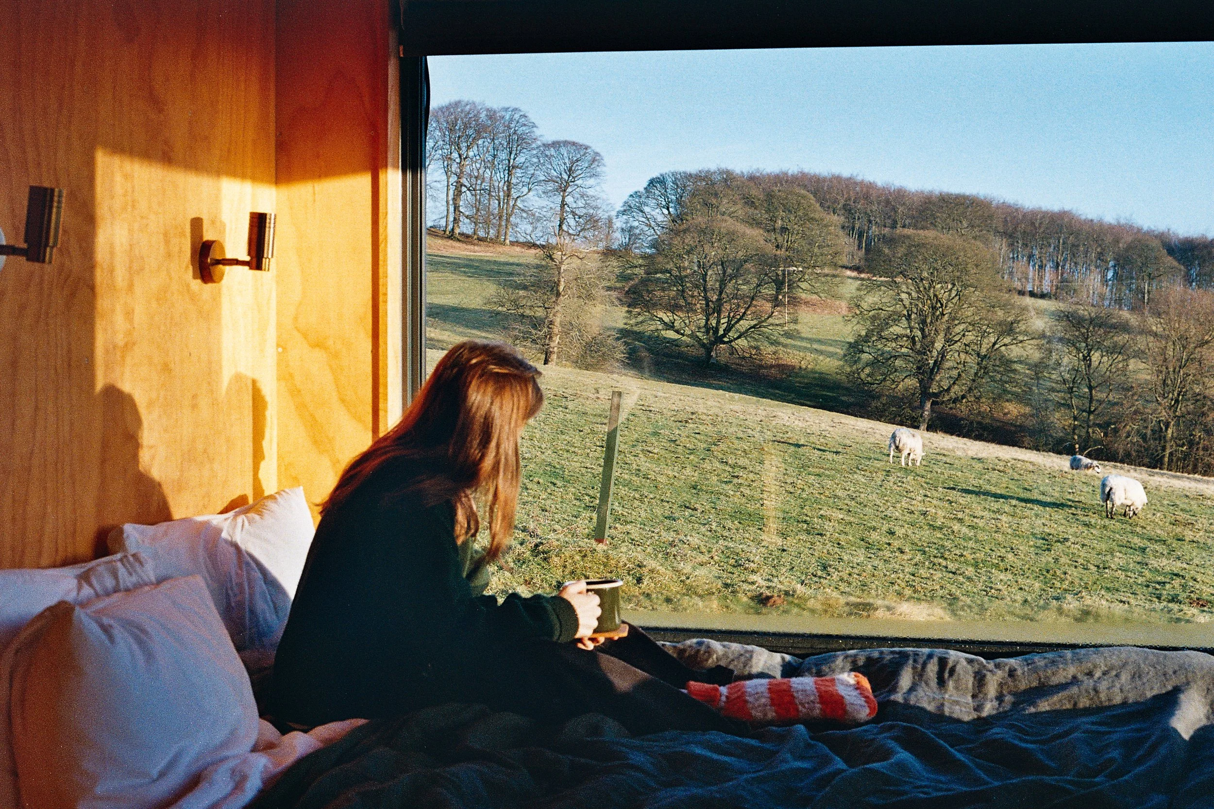 A woman with reddish-brown hair sitting on a bed inside a room, looking out of a large window at a grassy field with trees and grazing sheep.