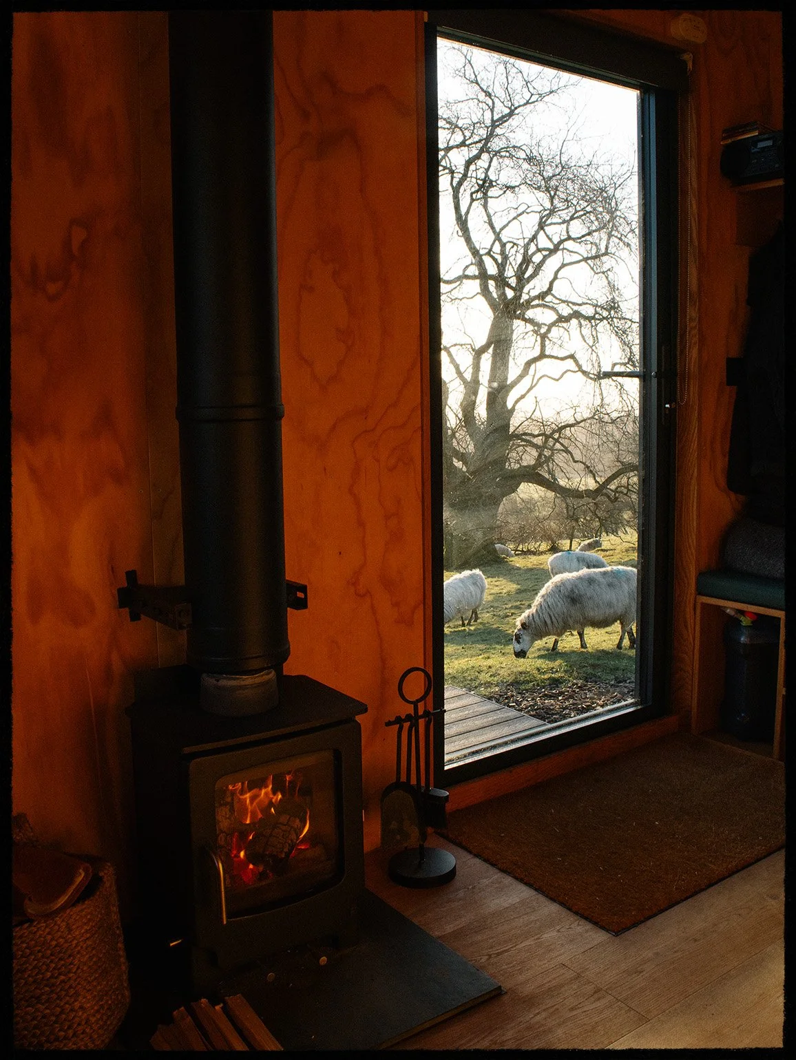Inside a cozy cabin with a wood-burning stove, dark pipe, and a view of sheep grazing outside a large glass door with a scenic landscape and a leafless tree.
