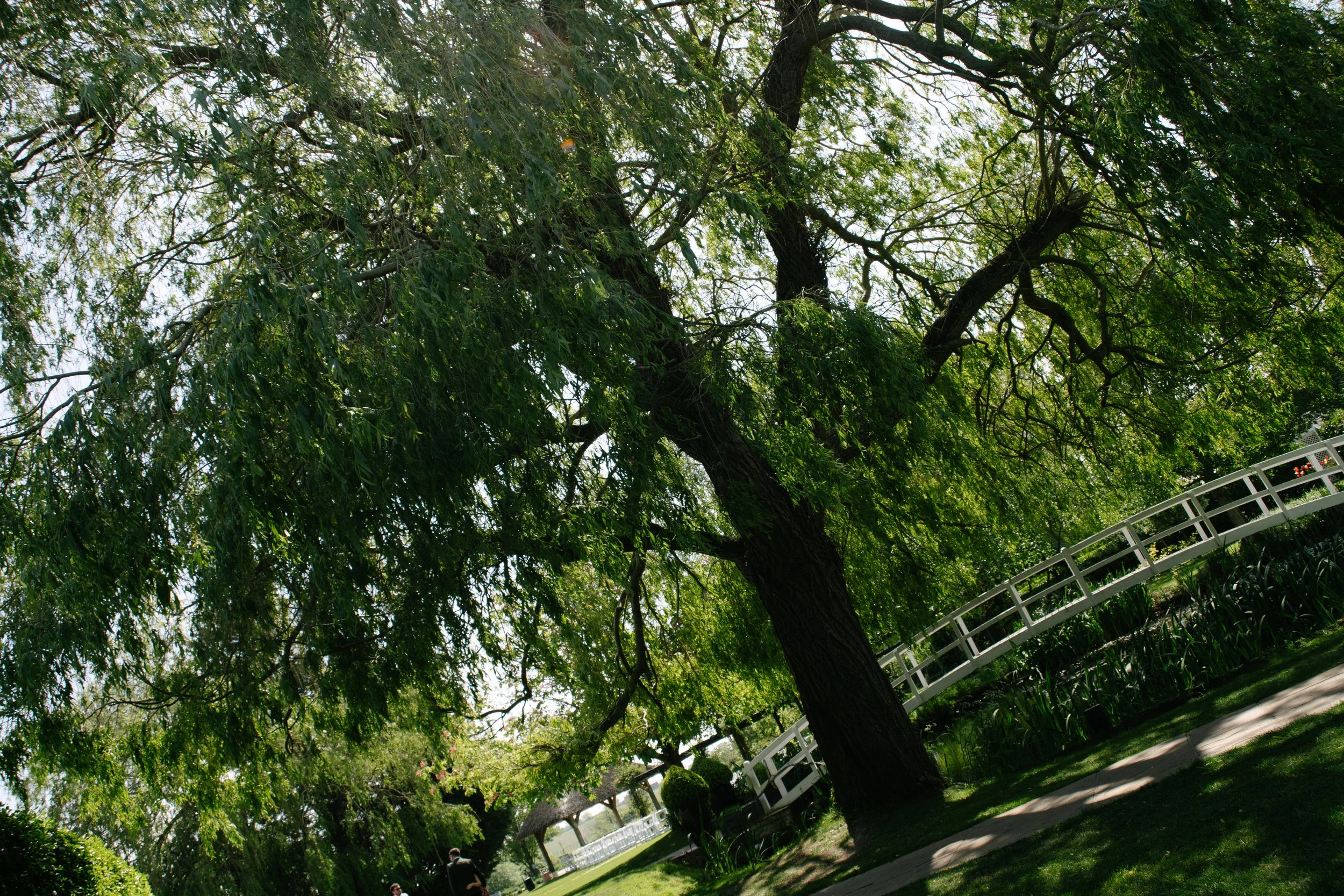 DSC06935-2.jpg