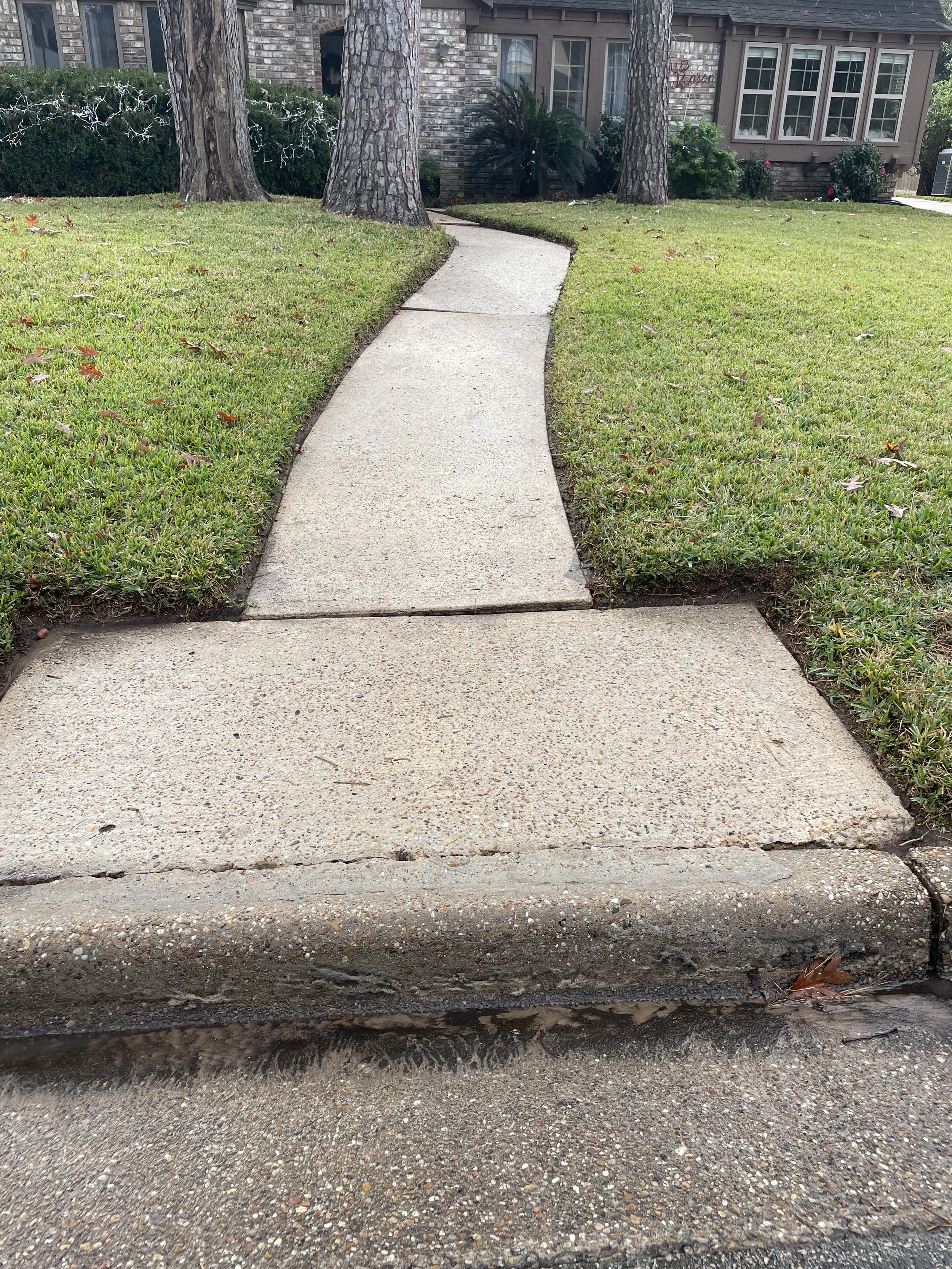 Concrete sidewalk leading to a house, bordered by grass and trees.