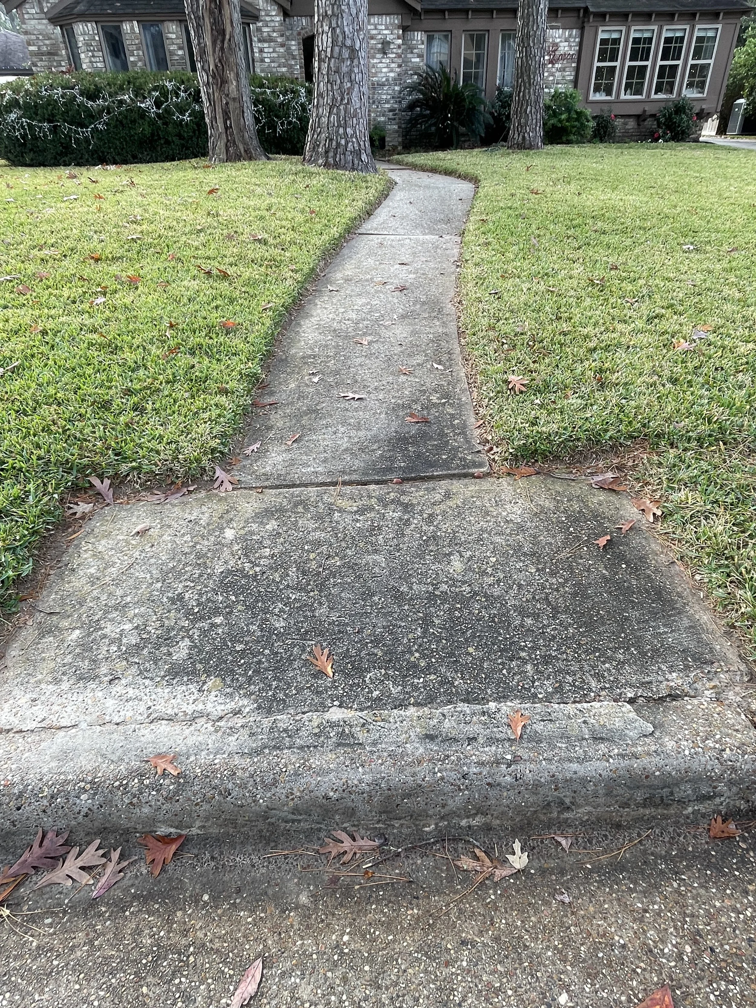 A sidewalk curves towards a house with stone walls and multiple windows, surrounded by green grass, trees, and some fallen leaves.
