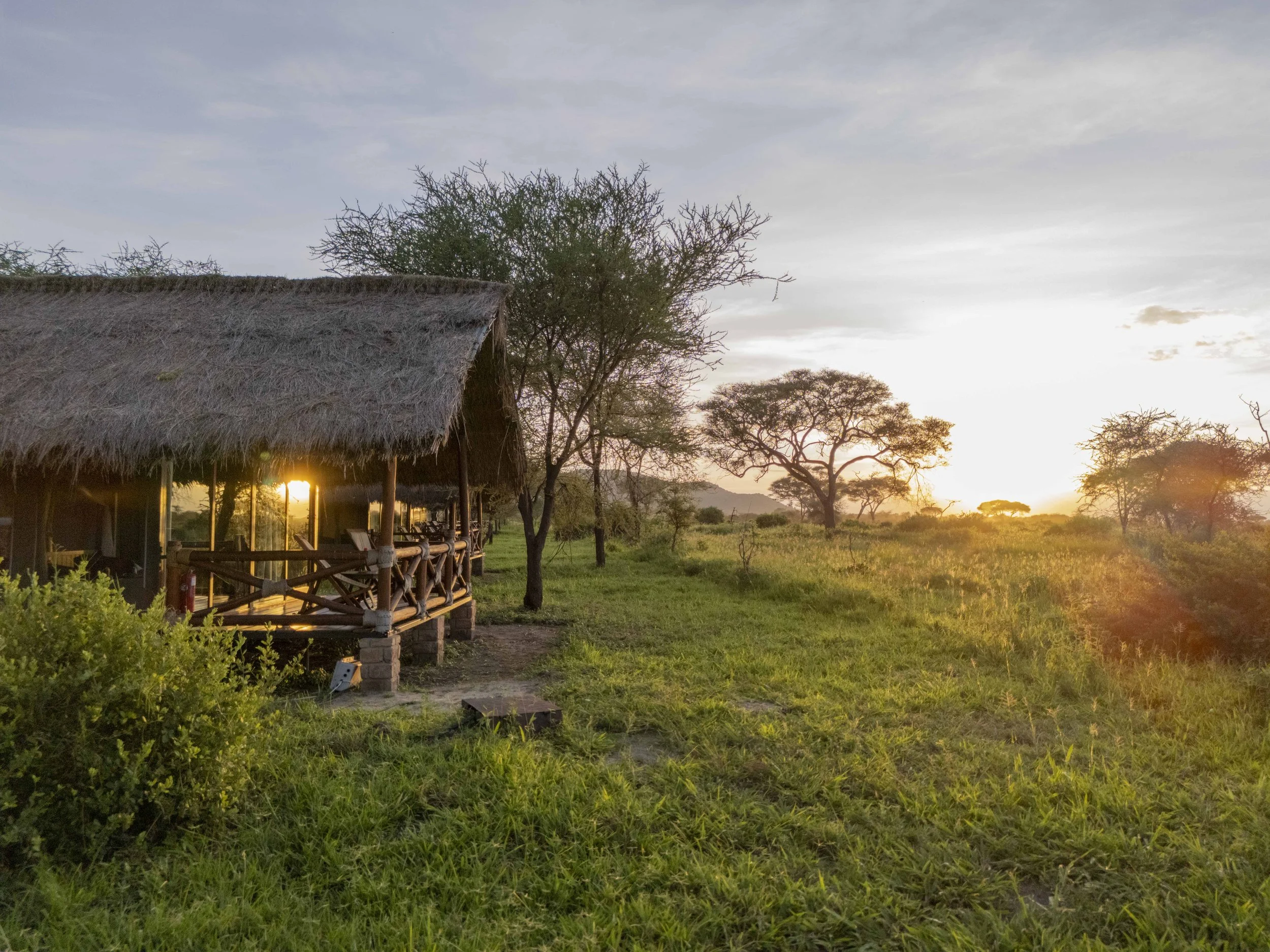 A thatched-roof hut with a wooden balcony at sunset, surrounded by trees and greenery, in a savanna landscape.