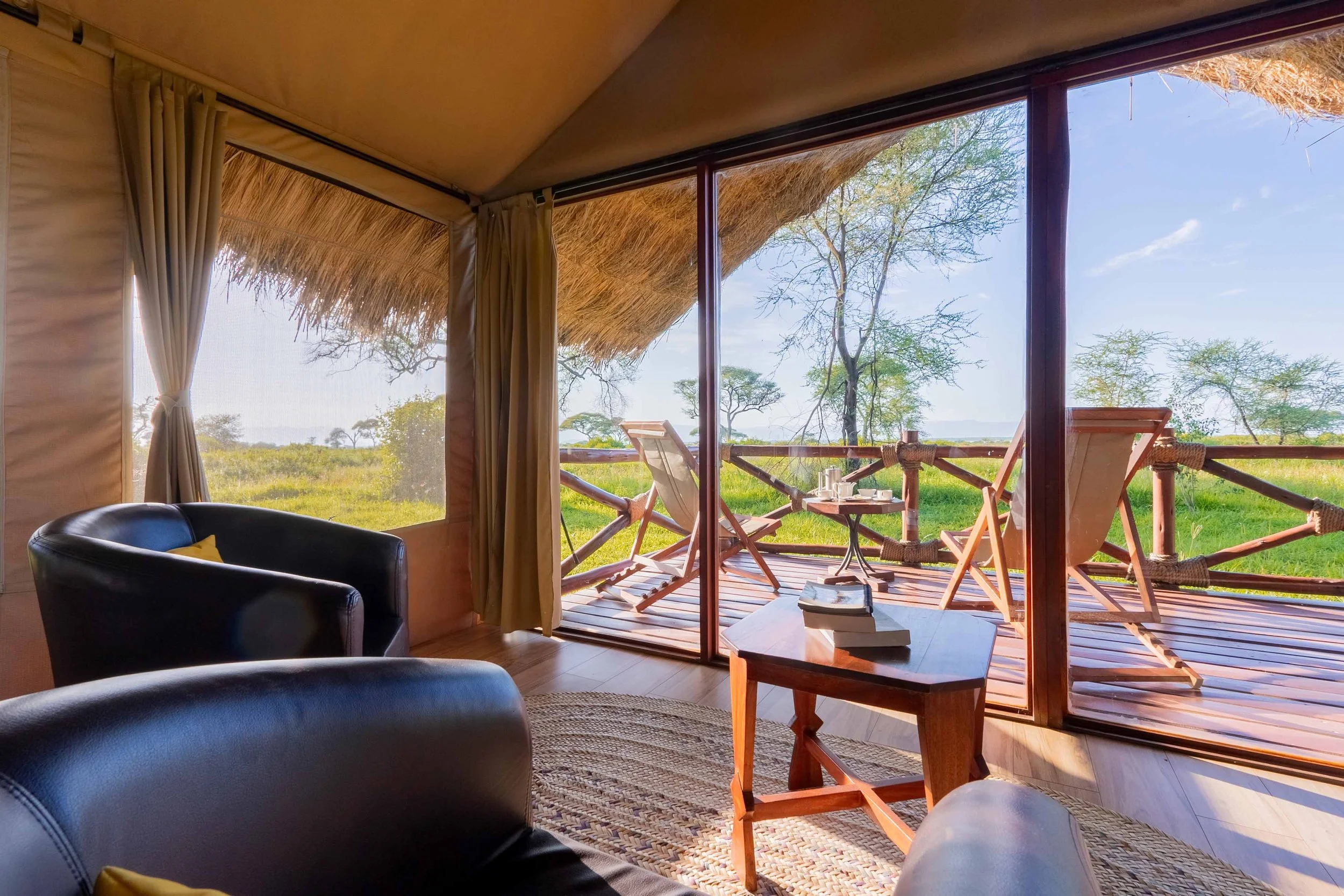 Tarangire Simba - Double -34.jpg