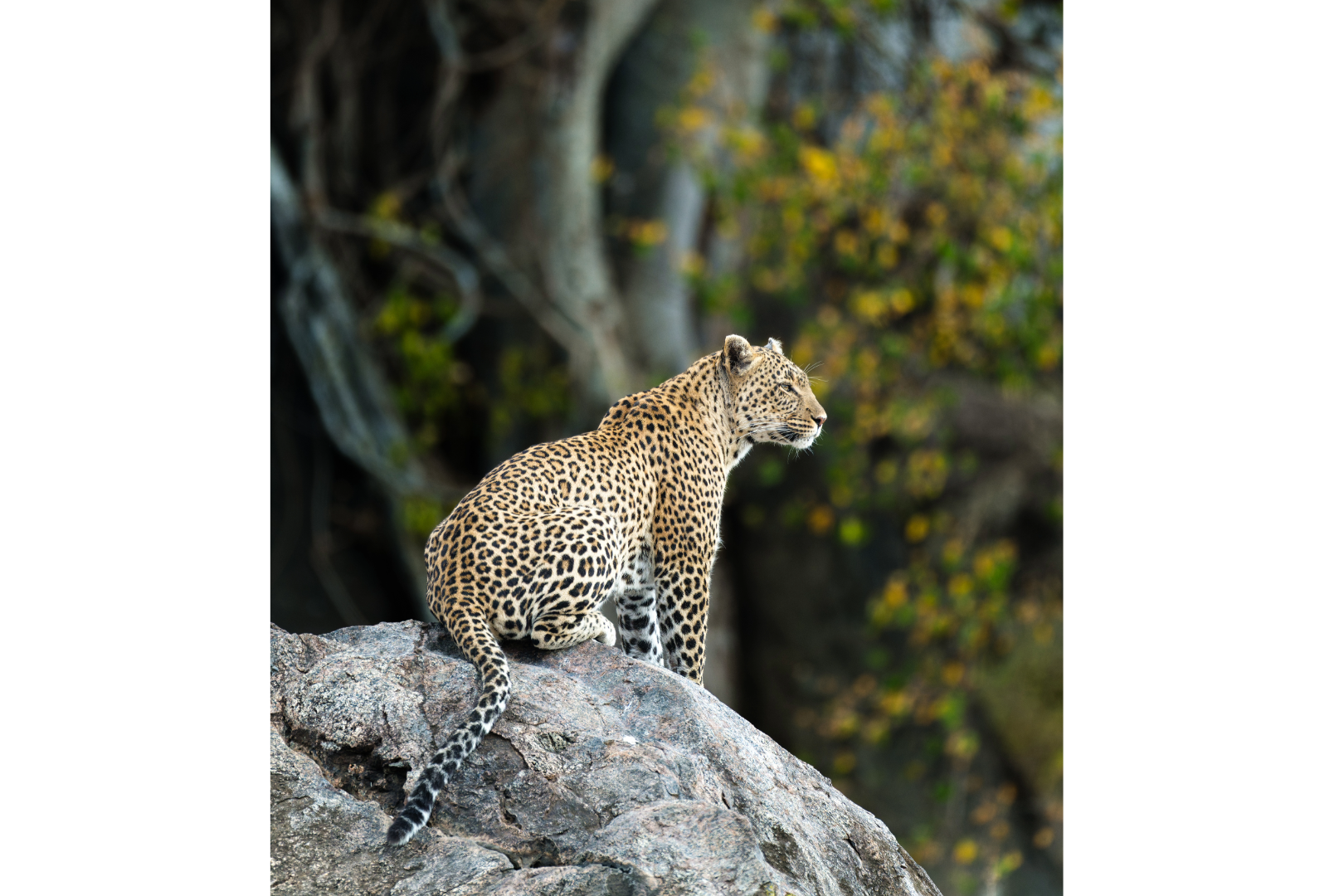 Untitled - September 16, 2026 at 01.16.17 (11).png