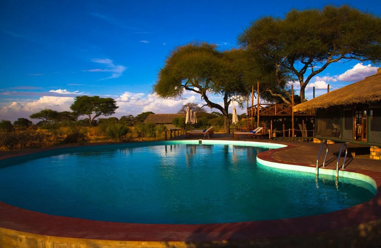 A swimming pool in a safari lodge with trees and thatched-roof buildings under a bright blue sky.
