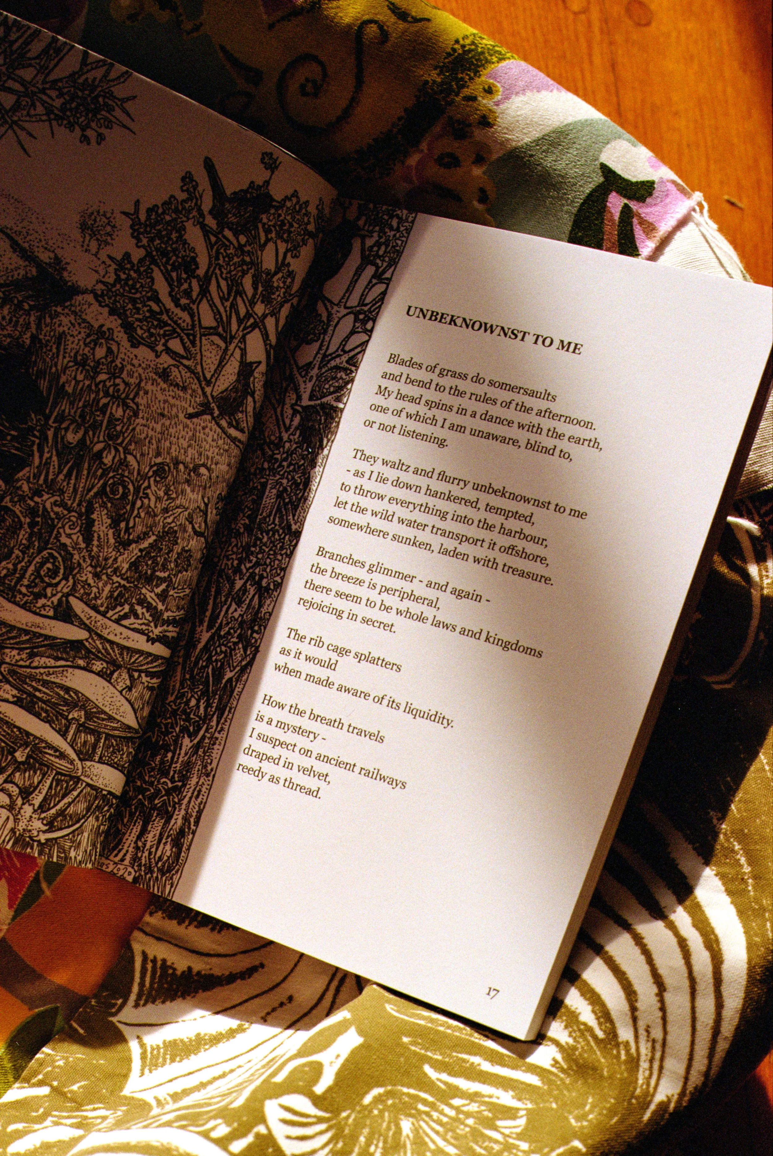 Photo 30-07-2025, 13 19 39.jpg