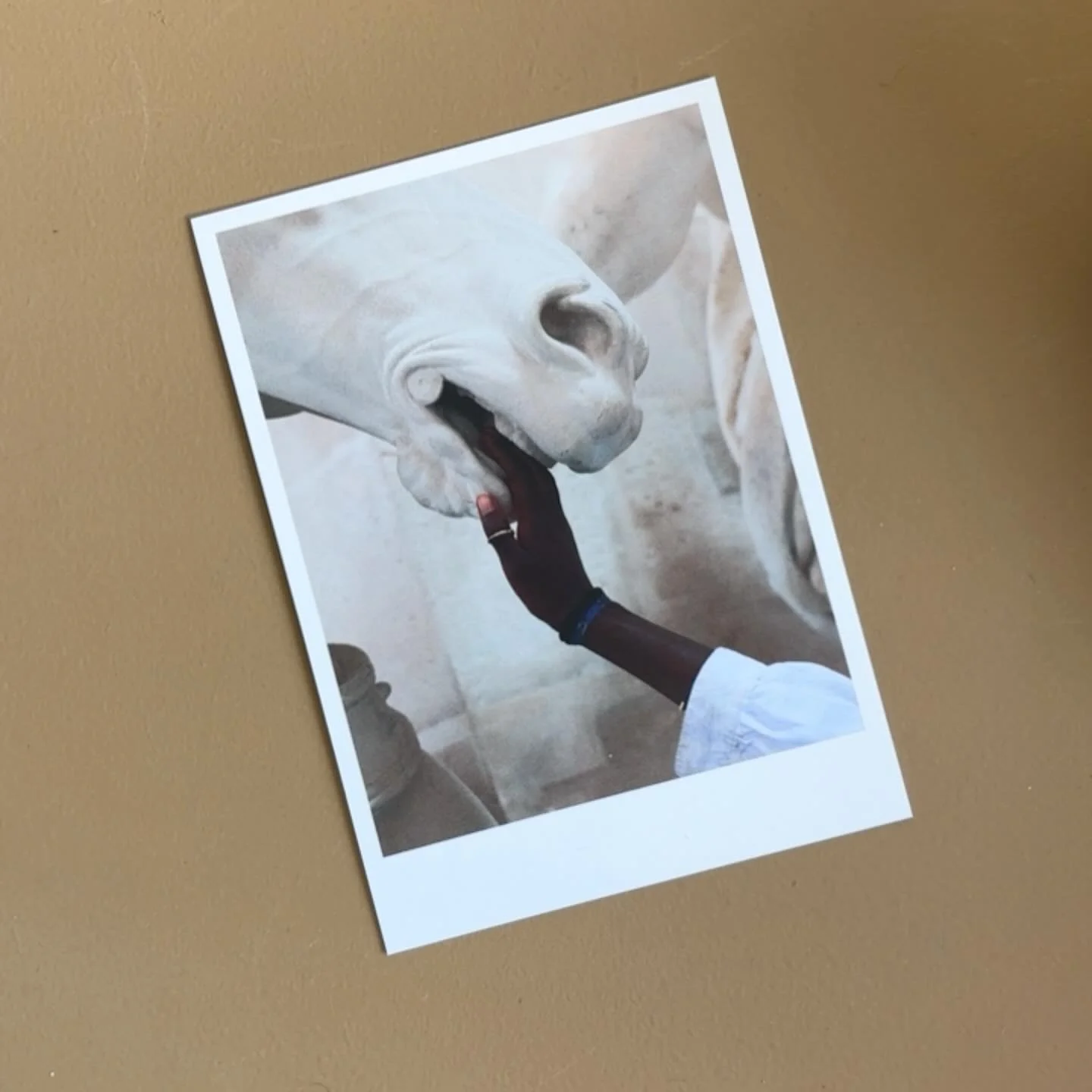 Photo by @vivianesassenstudio inspiration visit @huismarseille