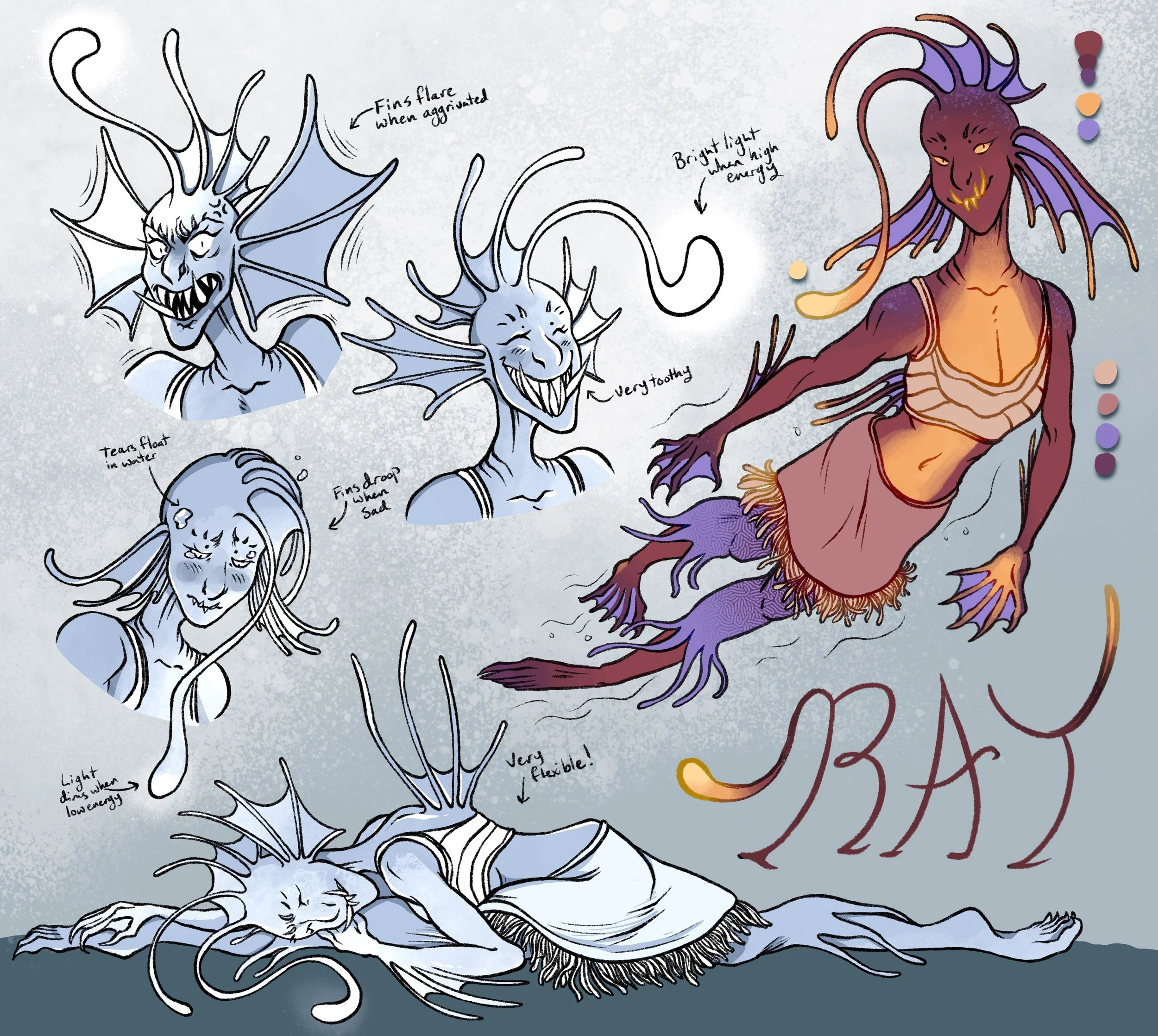 Ray Model Sheet
